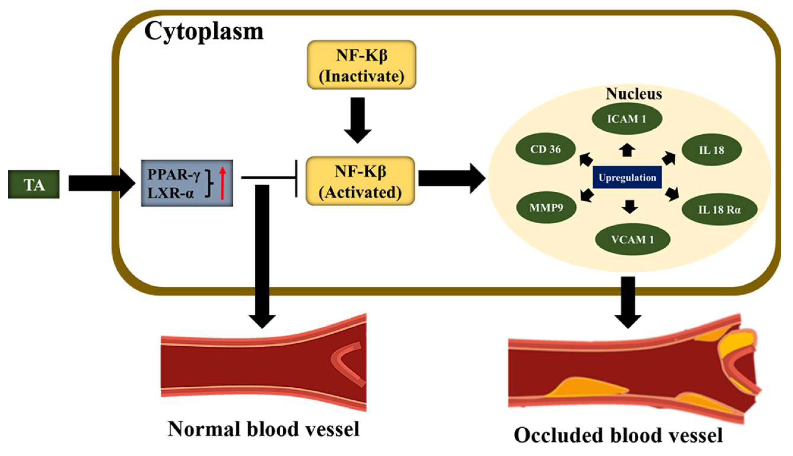 Pharmaceuticals 16 00126 g005 Pharmaceuticals 16 00126 g005
