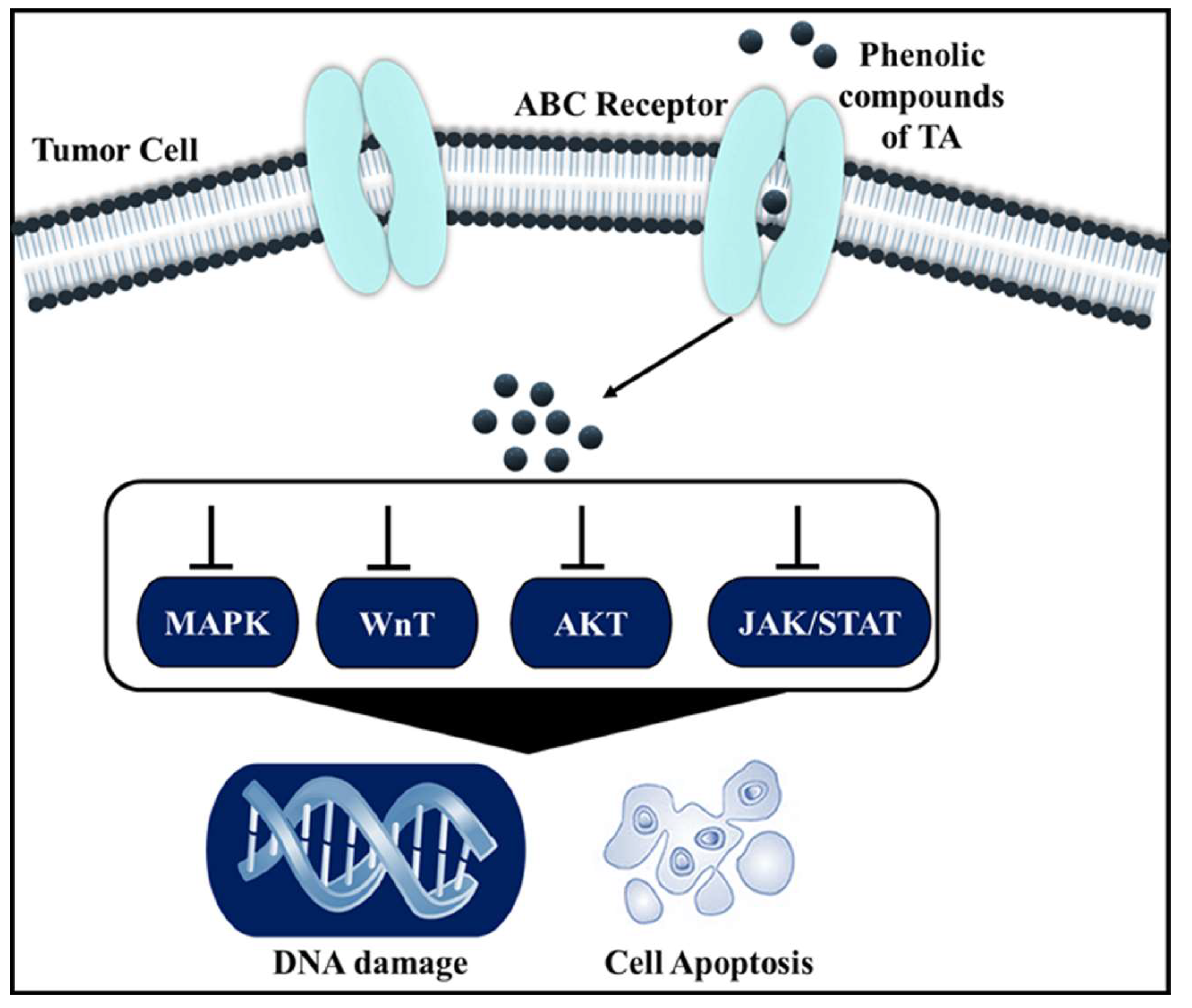 Pharmaceuticals 16 00126 g006 Pharmaceuticals 16 00126 g006