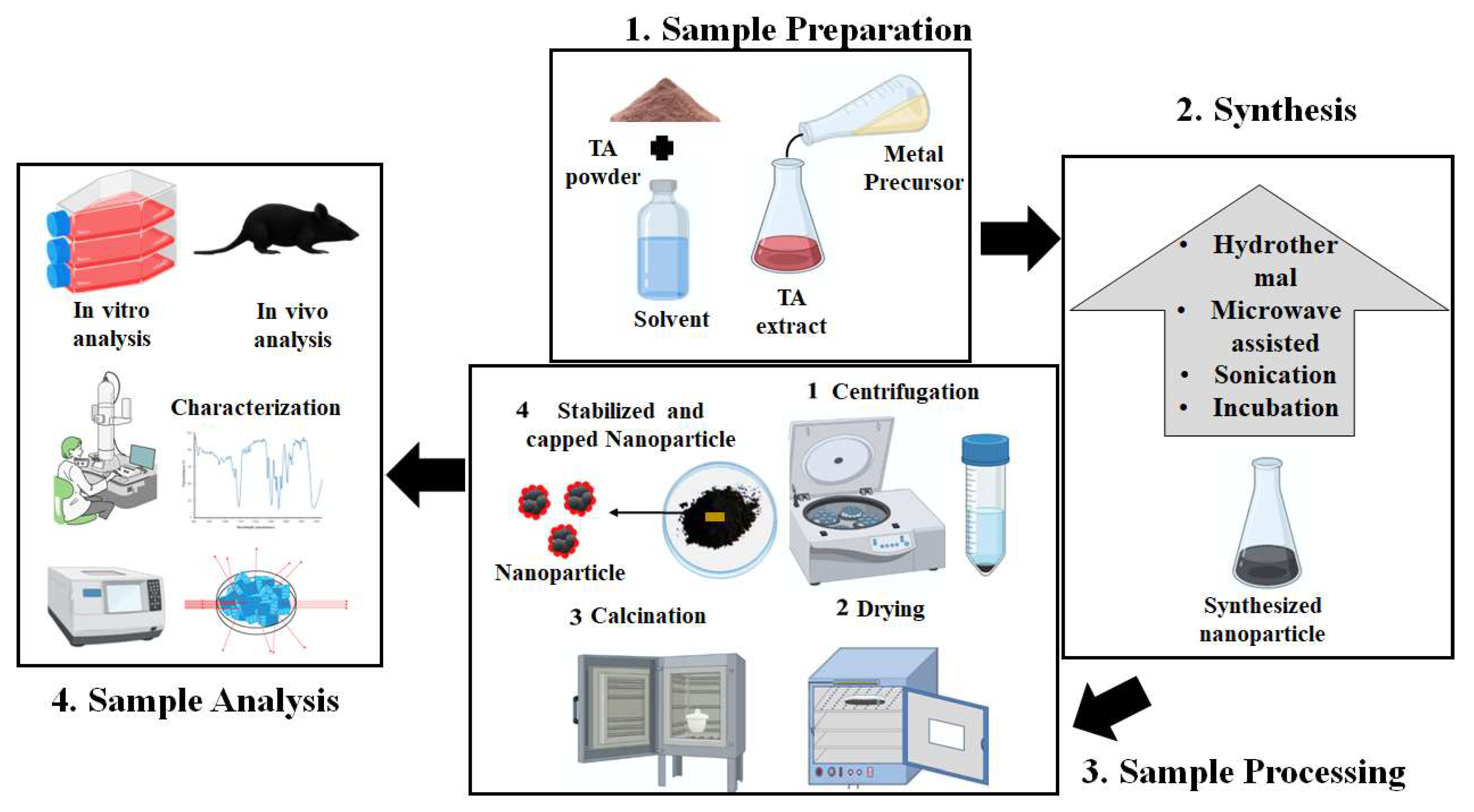 Pharmaceuticals 16 00126 g007 Pharmaceuticals 16 00126 g007