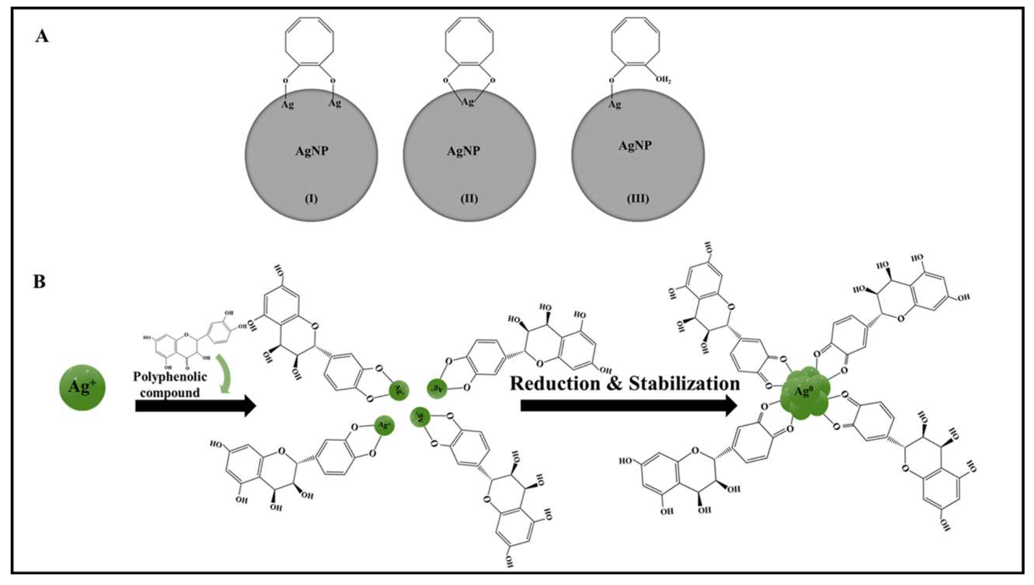 Pharmaceuticals 16 00126 g008 Pharmaceuticals 16 00126 g008