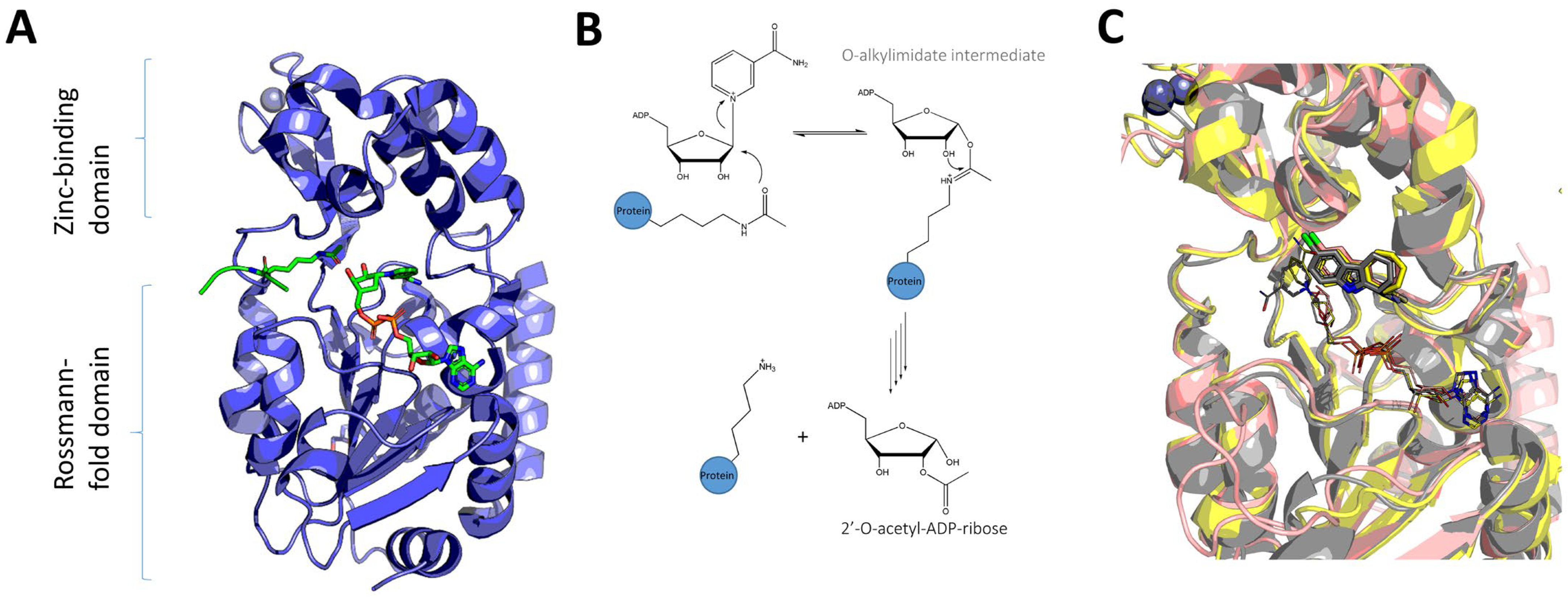 Pharmaceuticals 16 00127 g001 Pharmaceuticals 16 00127 g001