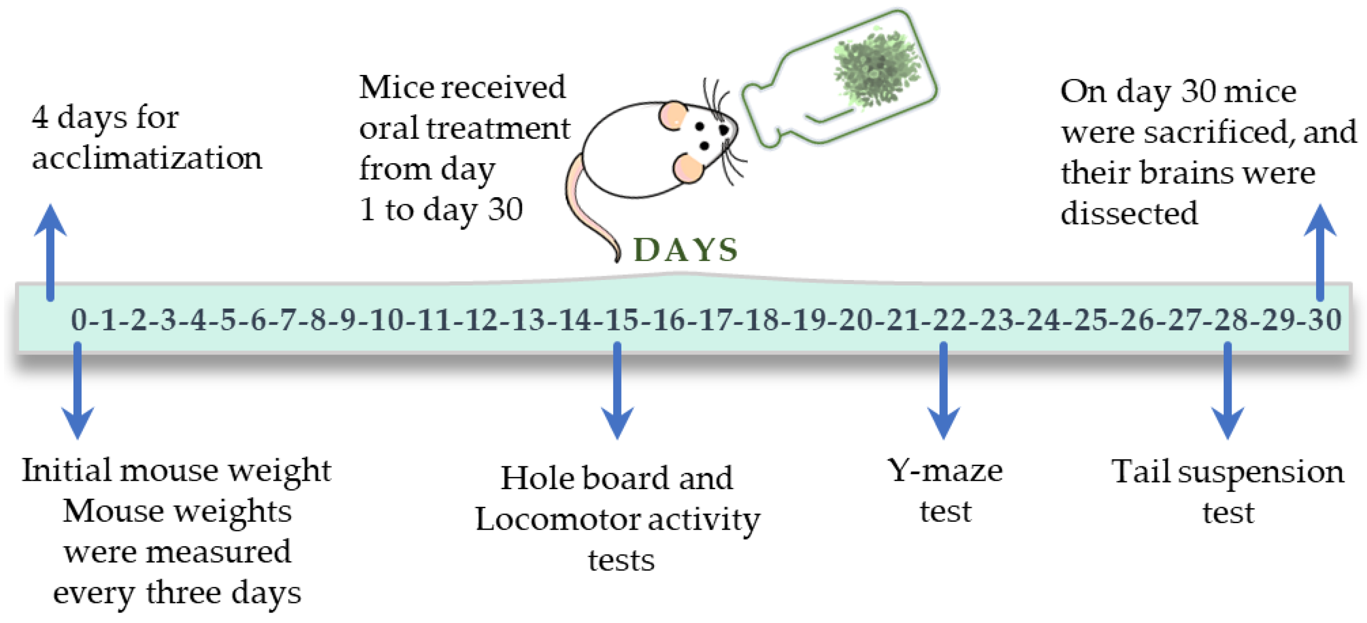 Pharmaceuticals 16 00129 g007 Pharmaceuticals 16 00129 g007