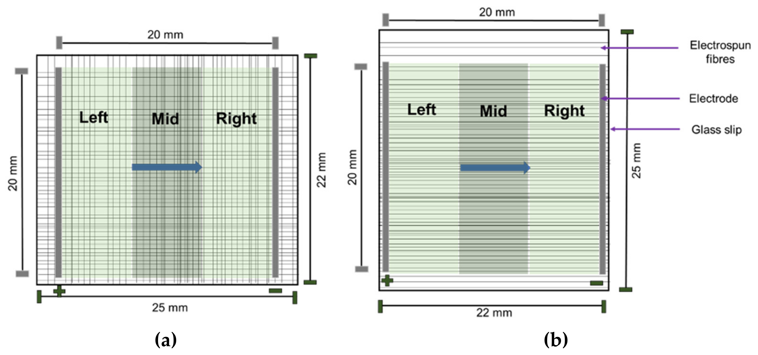 Pharmaceuticals 16 00138 g003 Pharmaceuticals 16 00138 g003