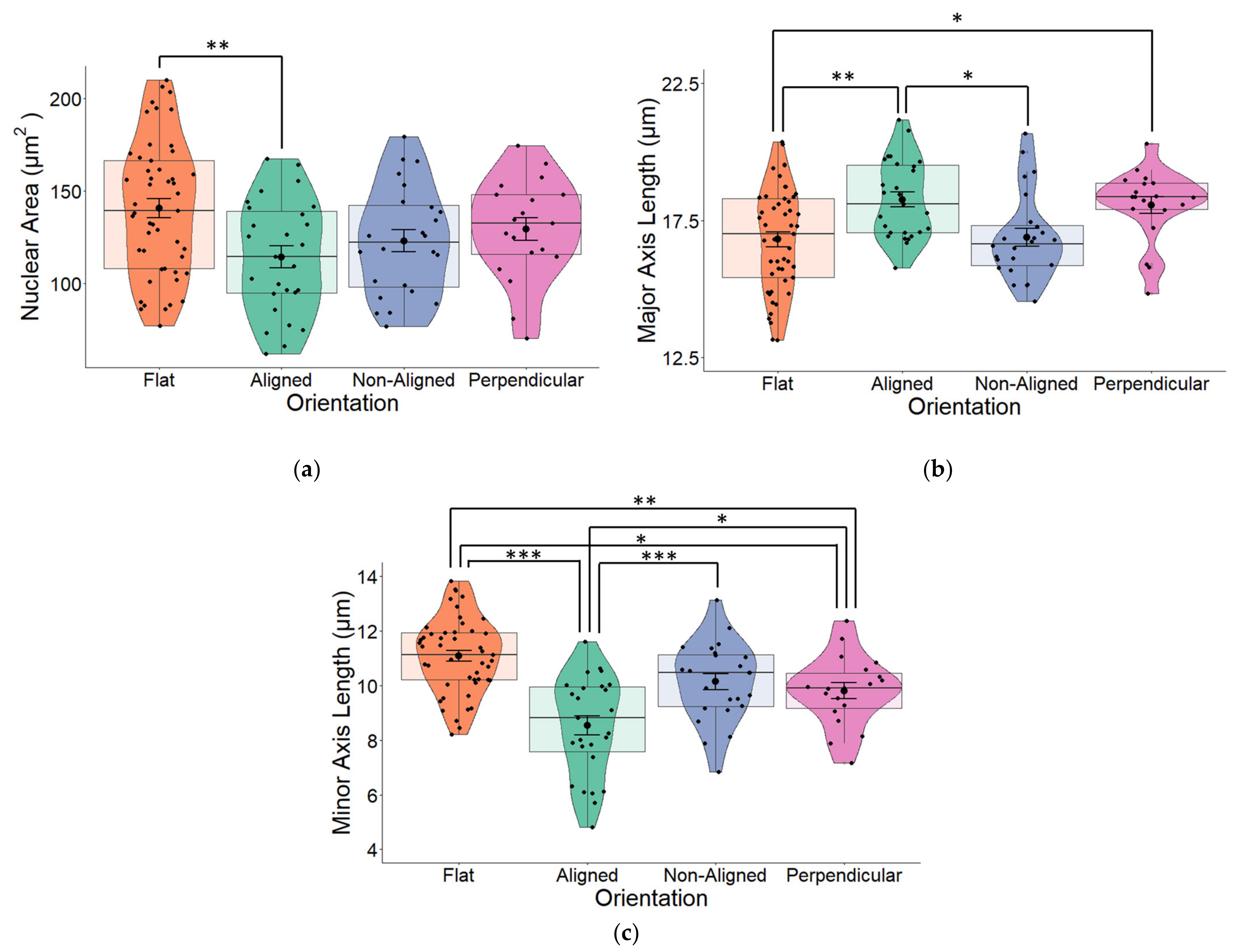 Pharmaceuticals 16 00138 g004 Pharmaceuticals 16 00138 g004