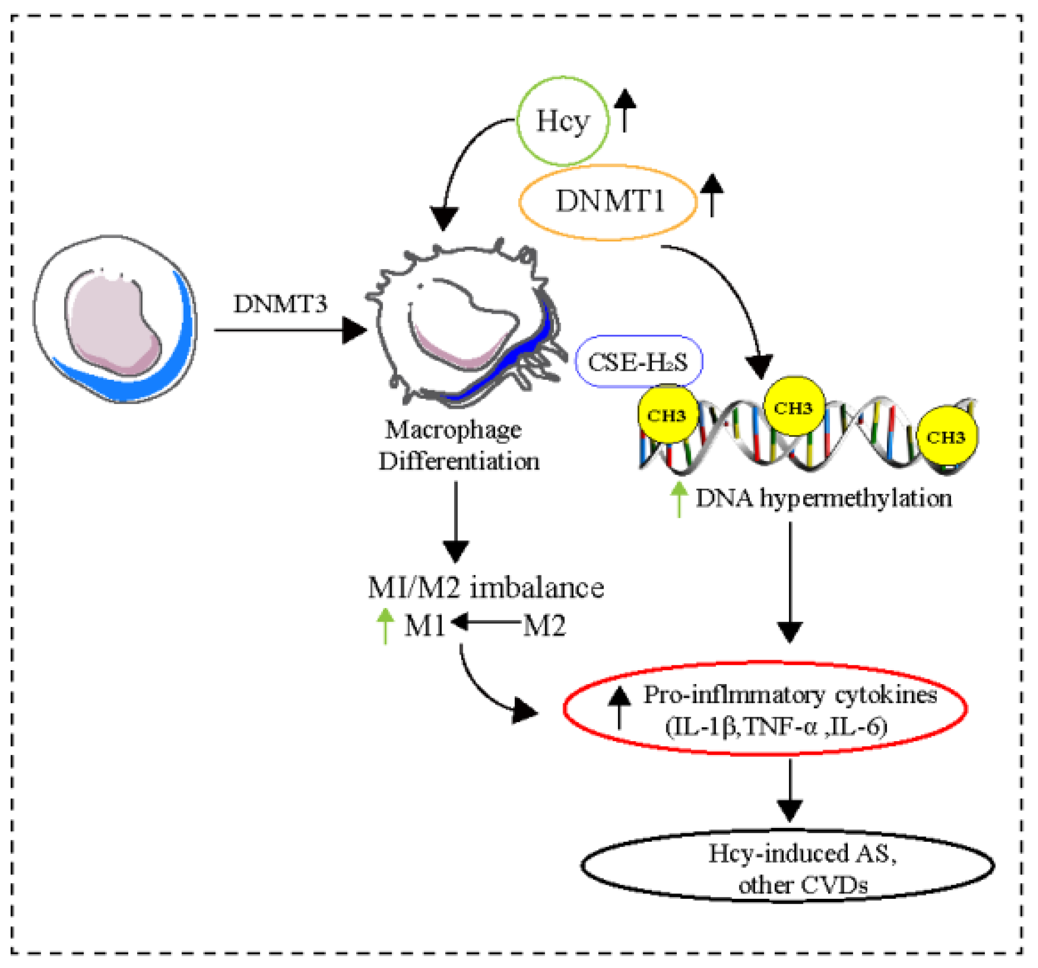 Pharmaceuticals 16 00141 g003