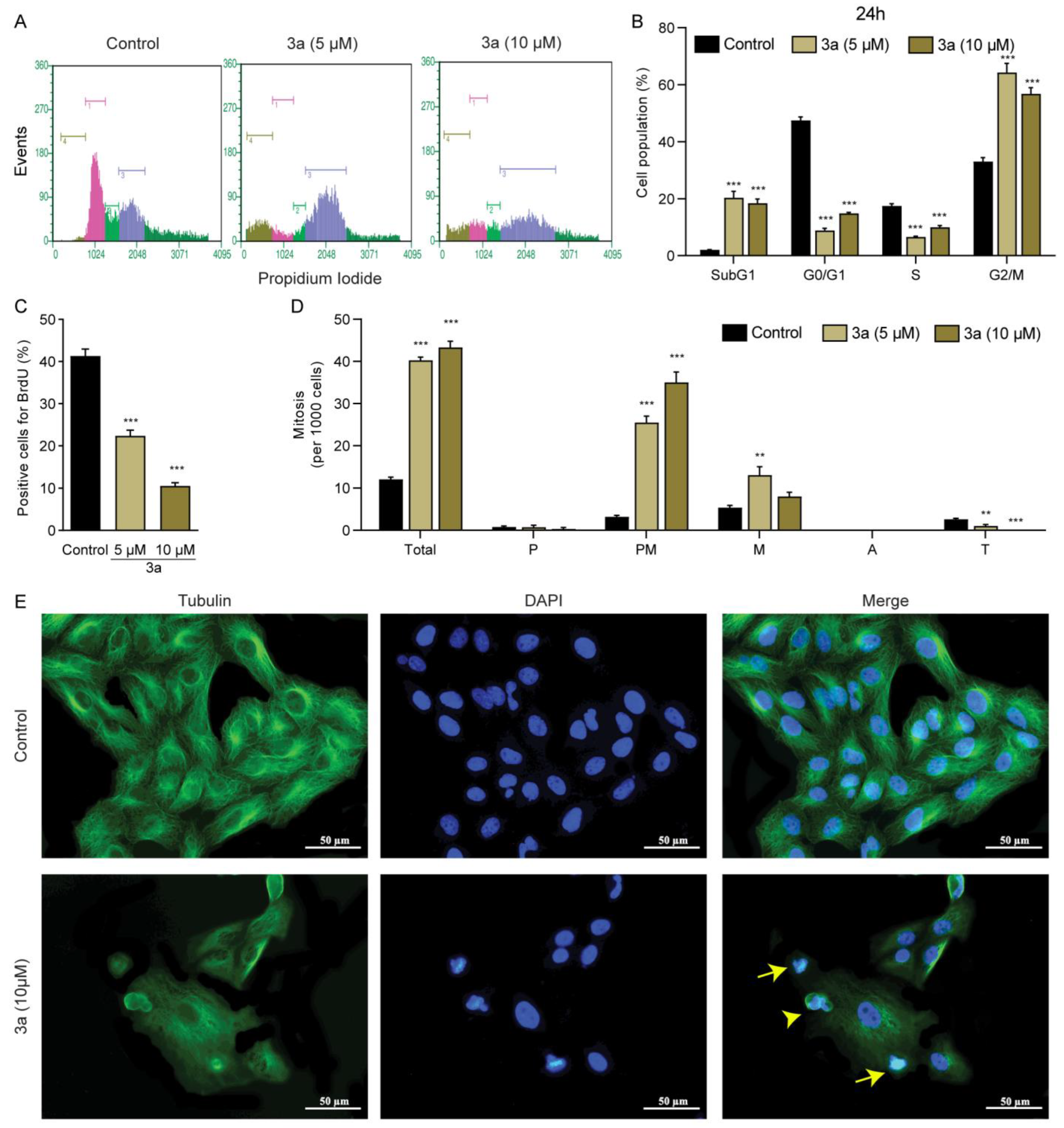Pharmaceuticals 16 00145 g003