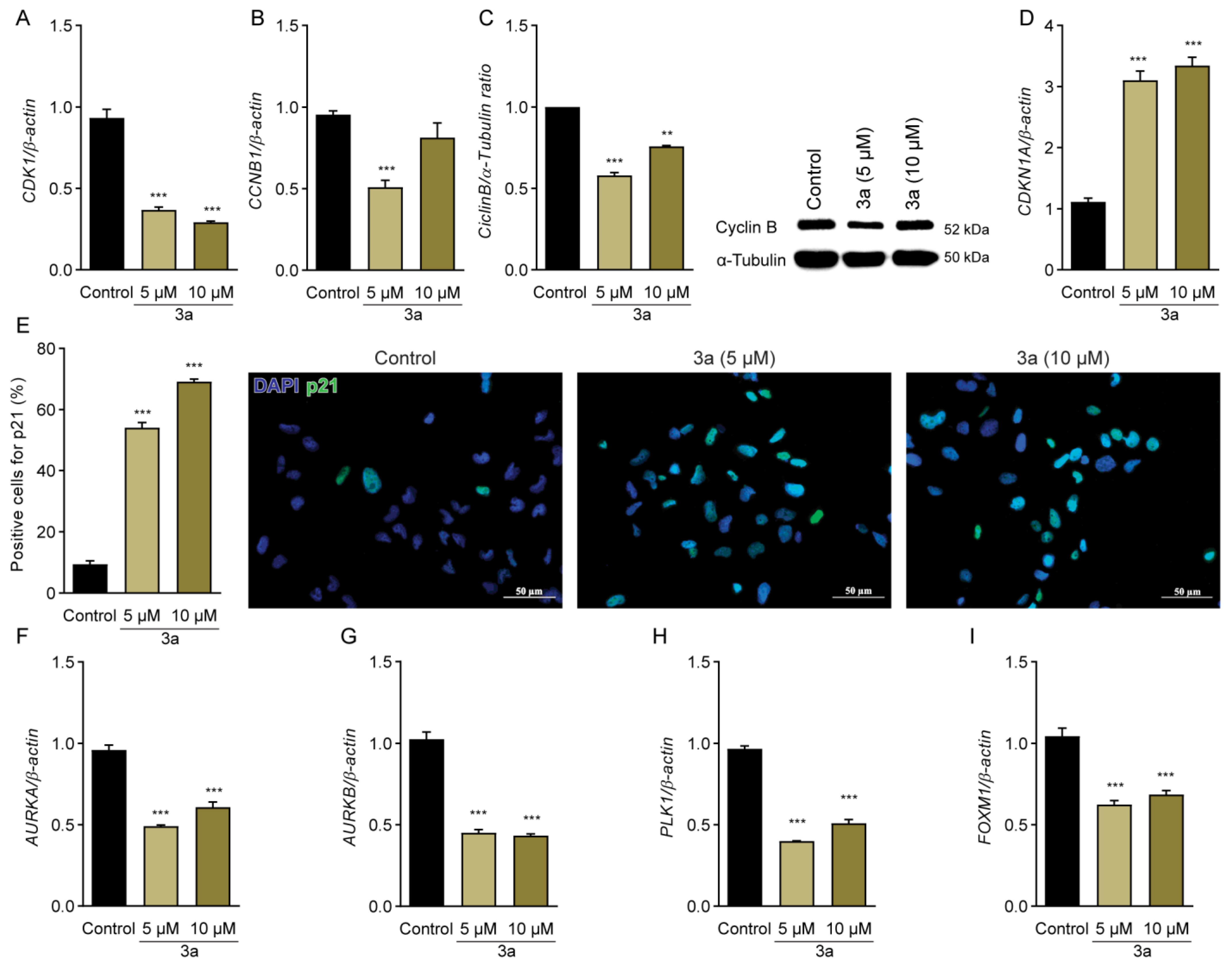 Pharmaceuticals 16 00145 g004