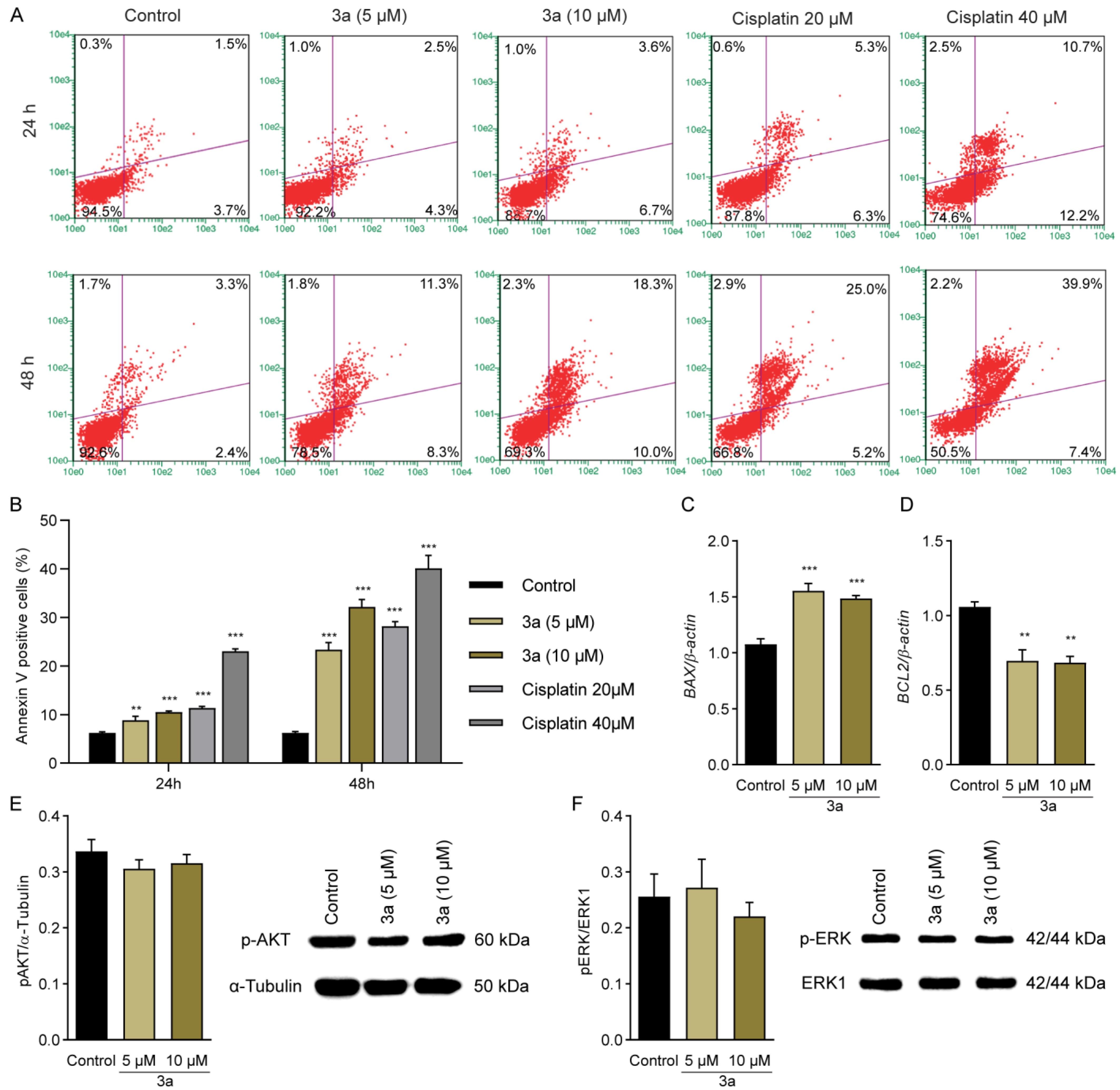 Pharmaceuticals 16 00145 g005