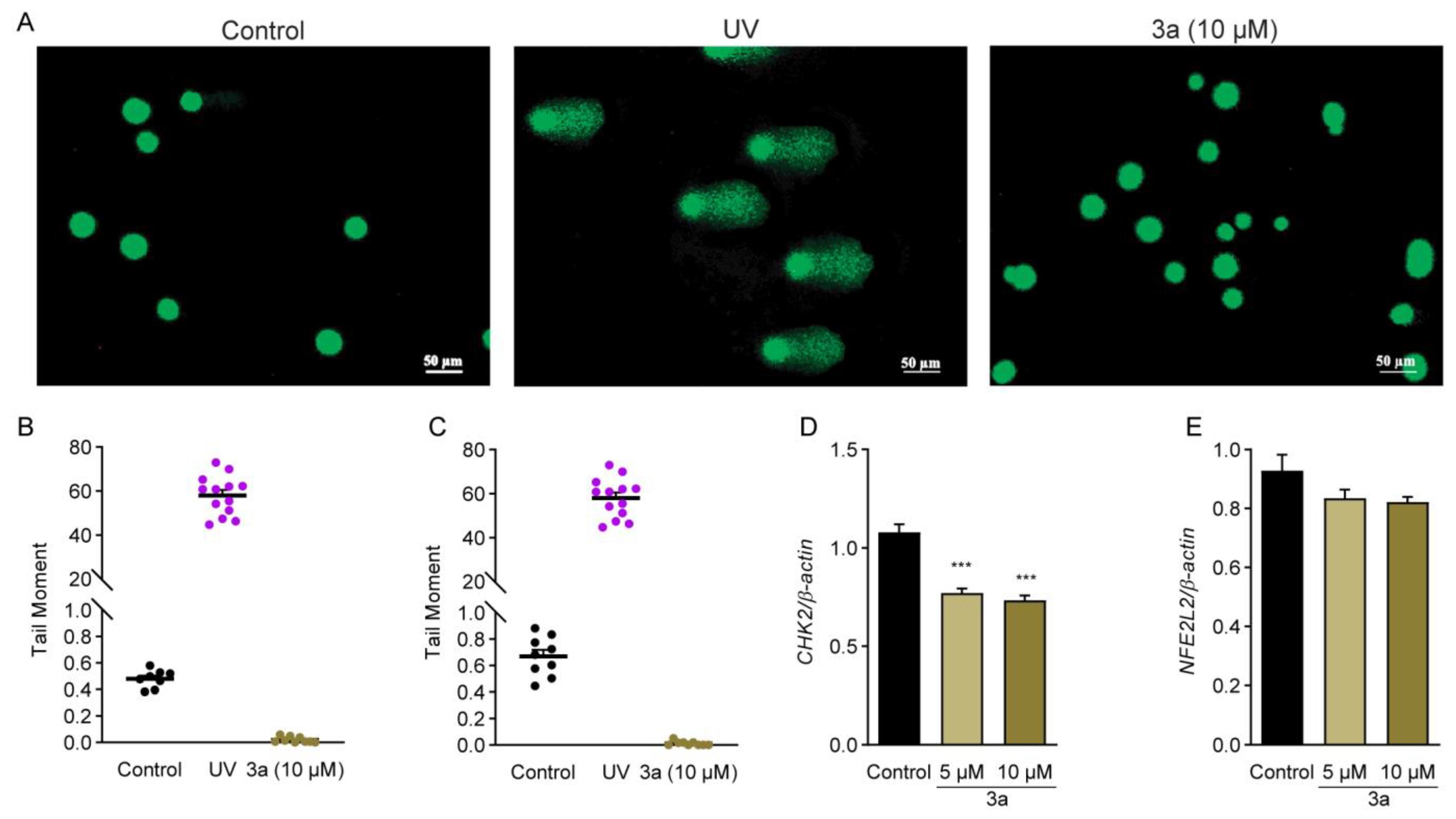 Pharmaceuticals 16 00145 g006