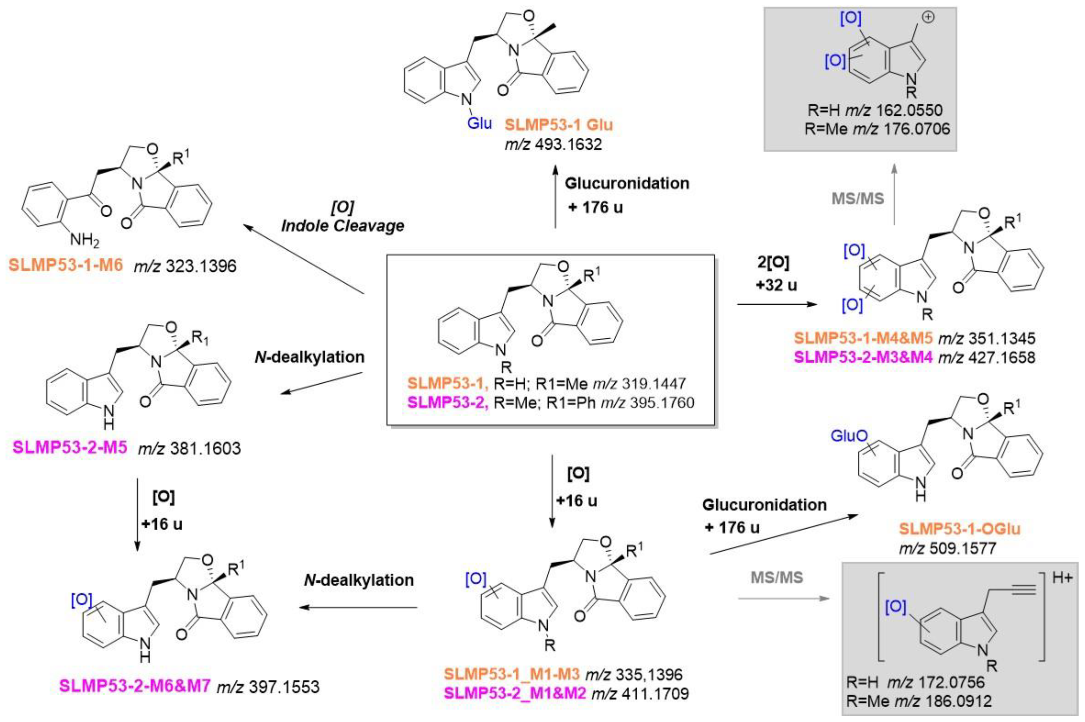 Pharmaceuticals 16 00146 g003