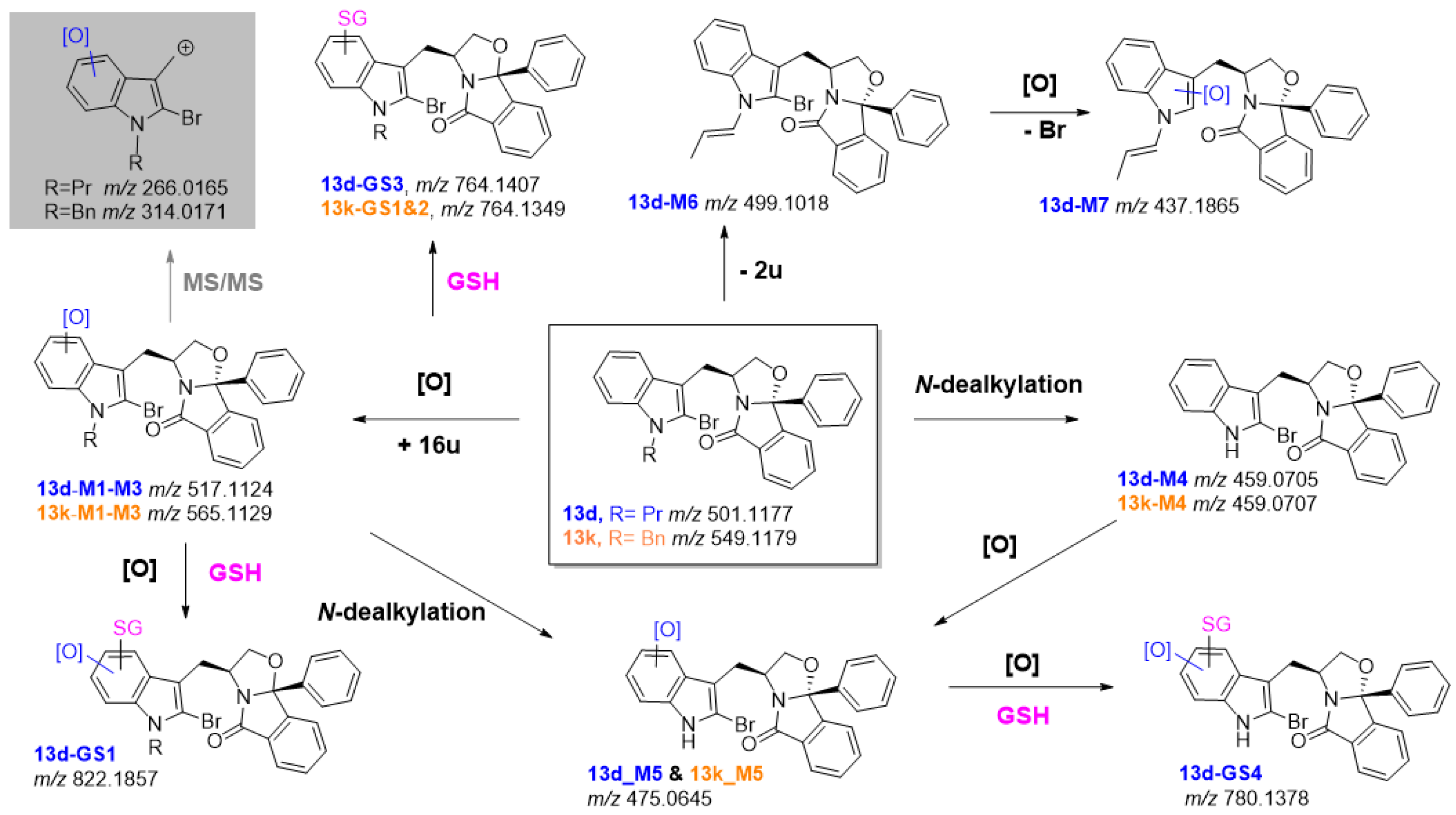 Pharmaceuticals 16 00146 g006