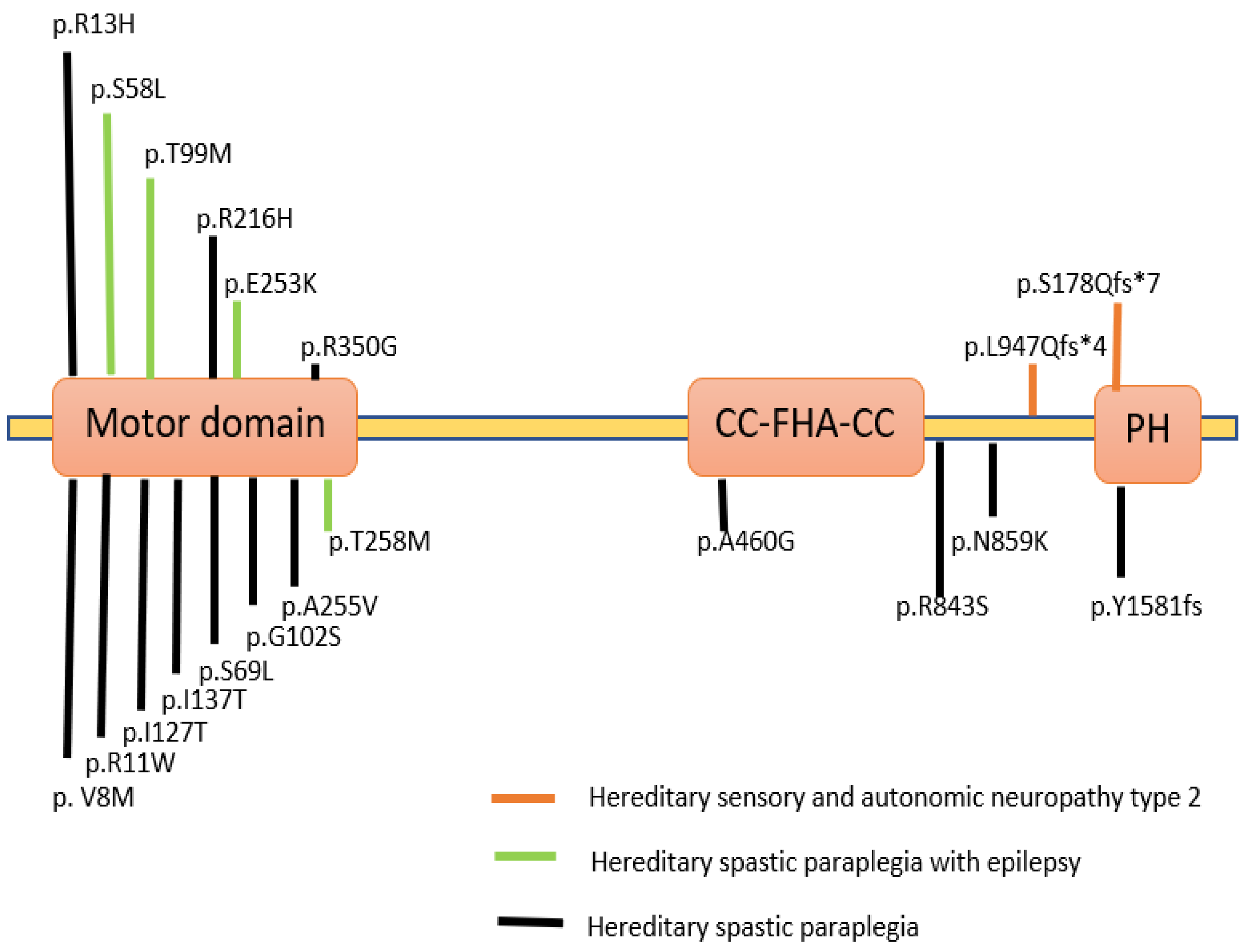 Pharmaceuticals 16 00147 g003