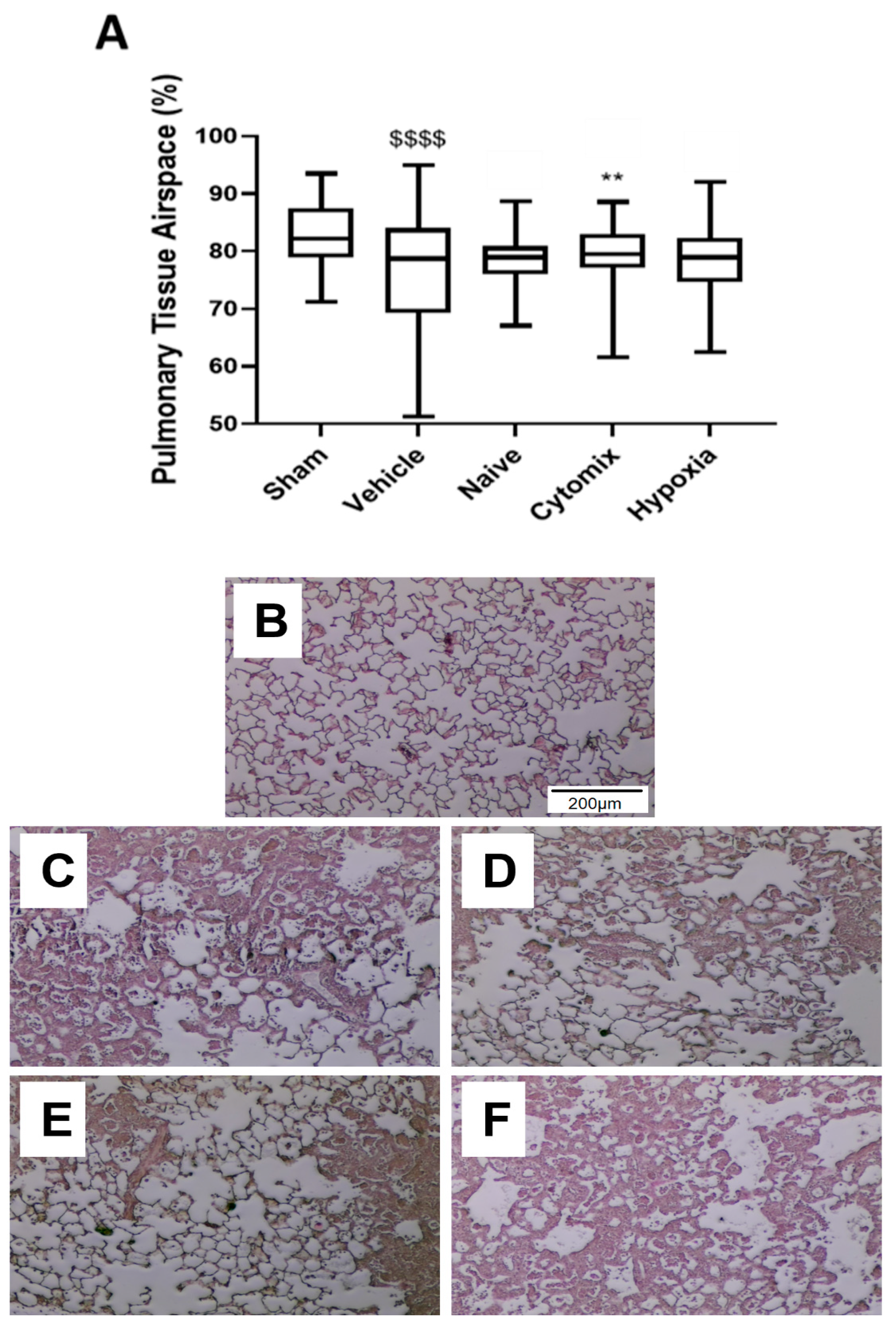 Pharmaceuticals 16 00149 g003 Pharmaceuticals 16 00149 g003