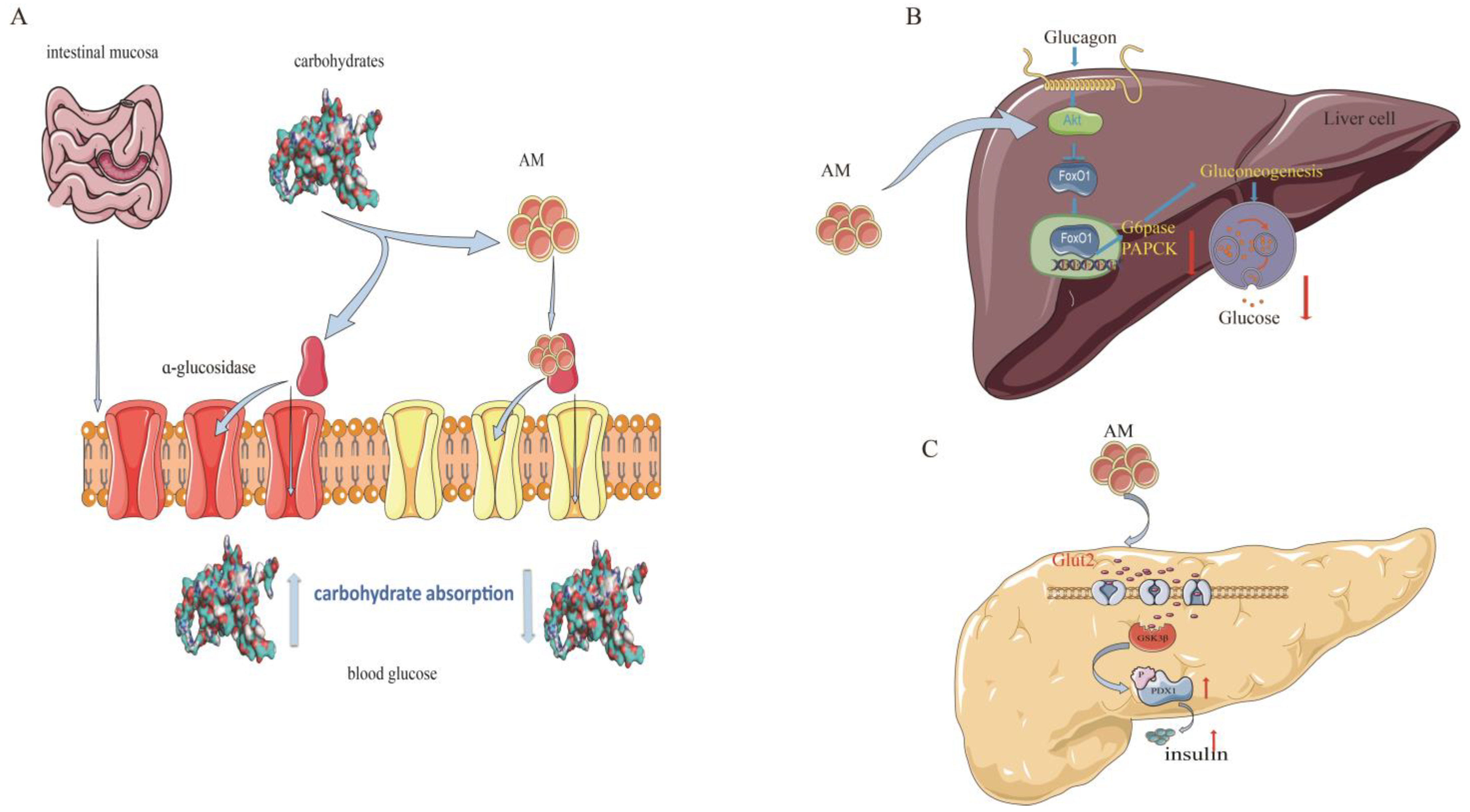 Pharmaceuticals 16 00150 g005