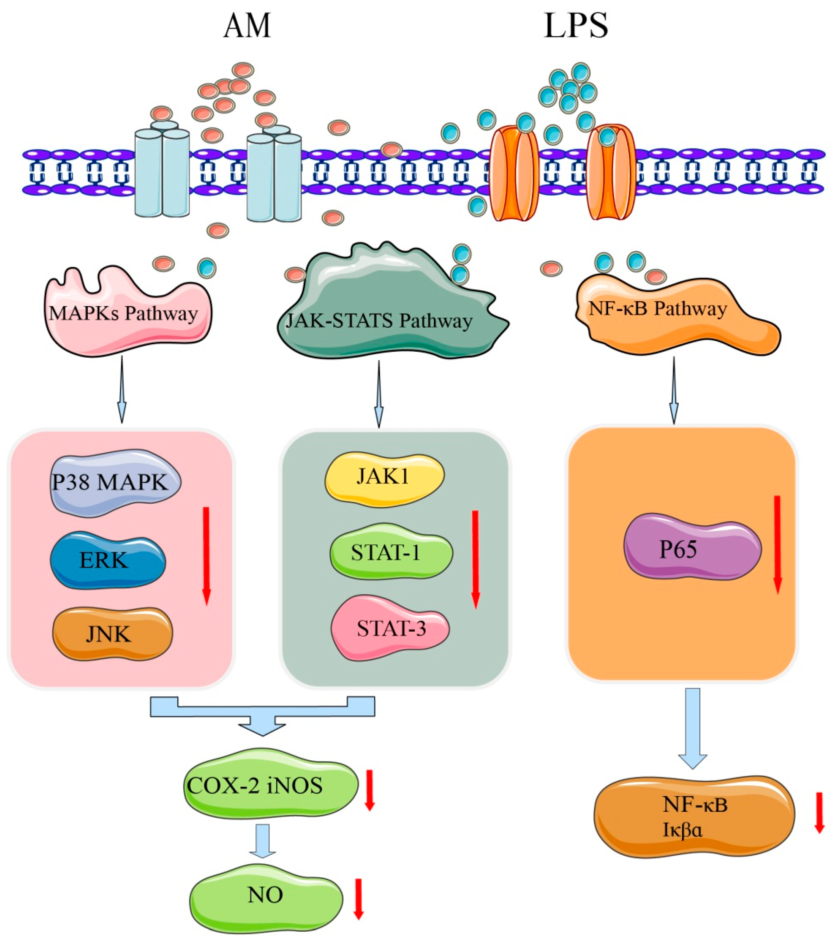 Pharmaceuticals 16 00150 g006