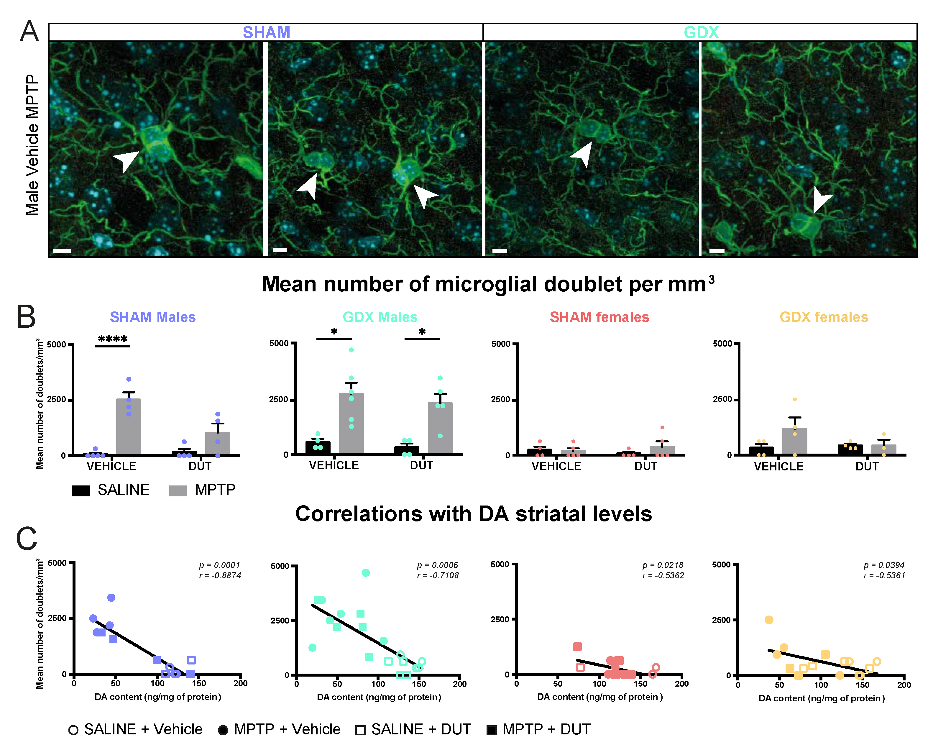 Pharmaceuticals 16 00152 g003