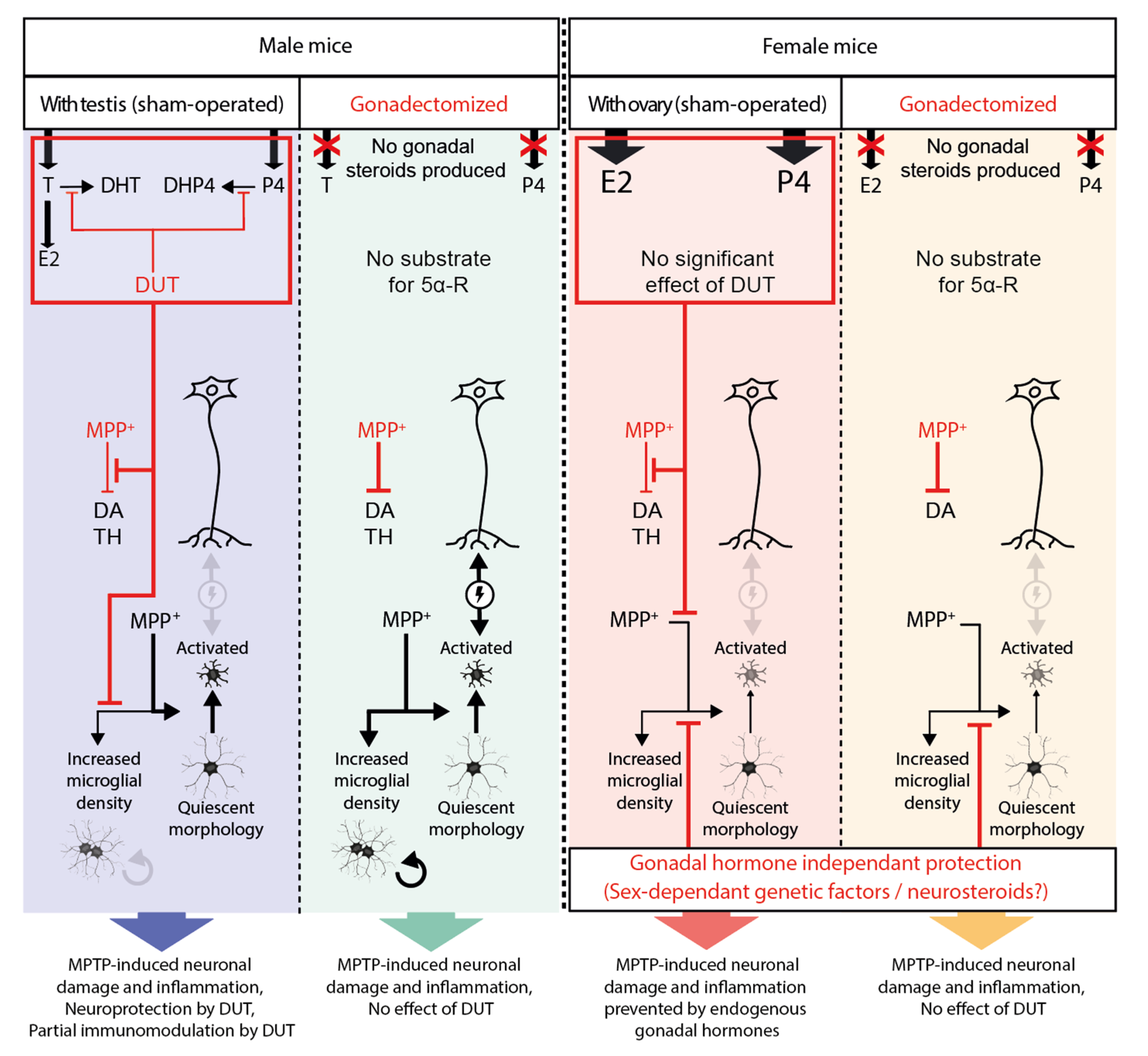 Pharmaceuticals 16 00152 g005