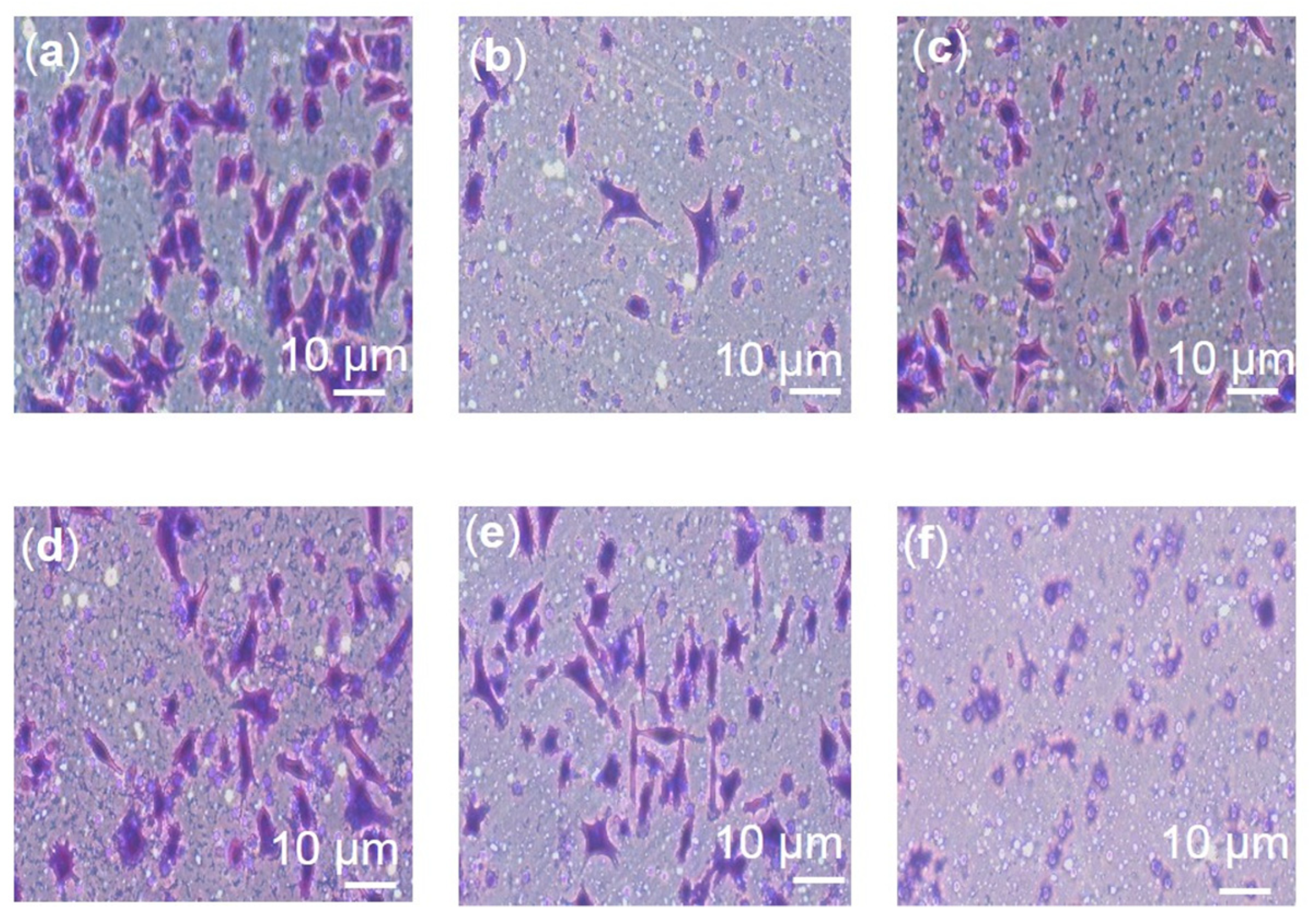 Pharmaceuticals 16 00153 g008 Pharmaceuticals 16 00153 g008