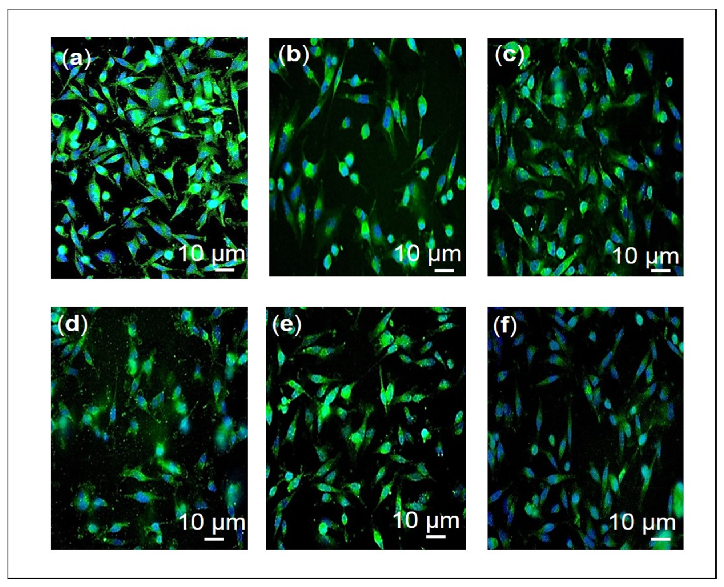 Pharmaceuticals 16 00153 g011 Pharmaceuticals 16 00153 g011