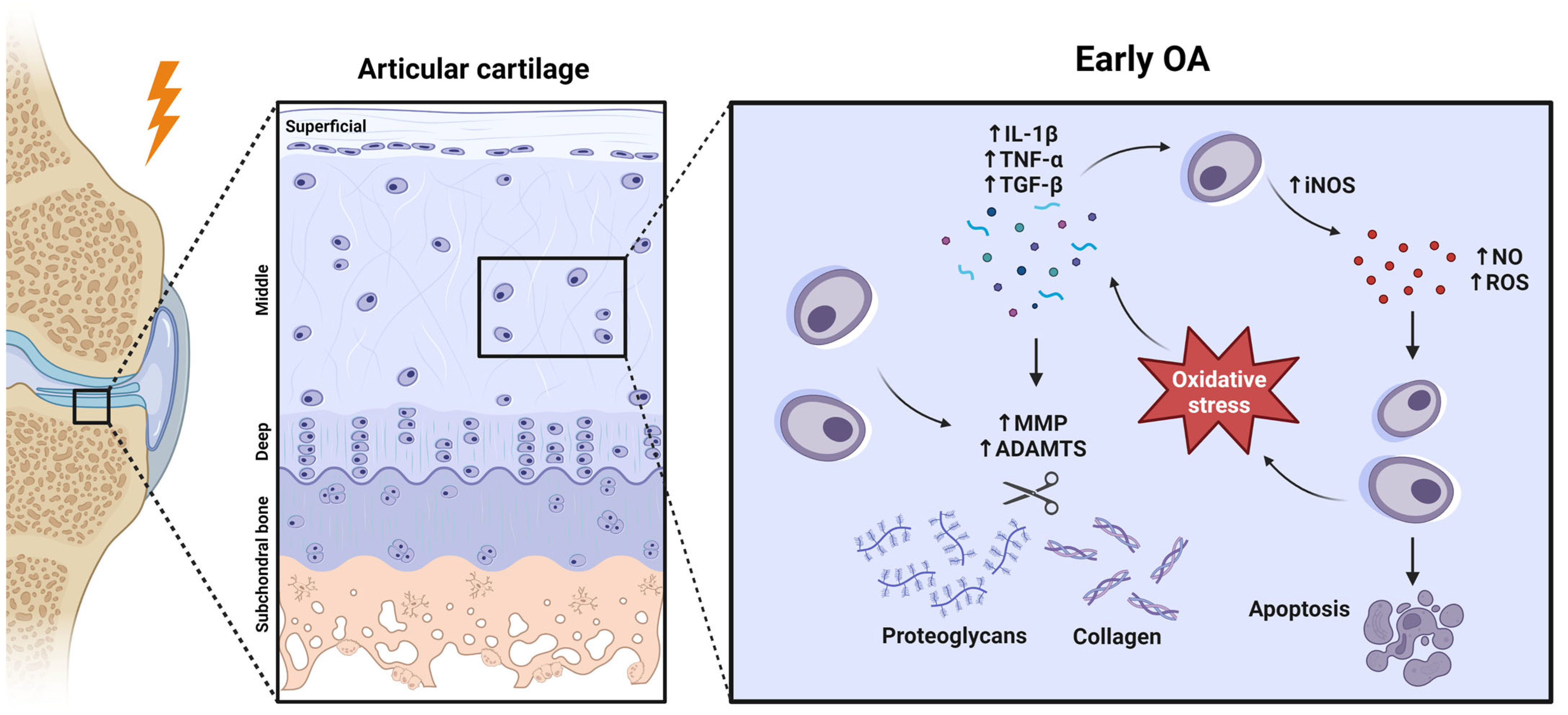 Pharmaceuticals 16 00156 g001 Pharmaceuticals 16 00156 g001