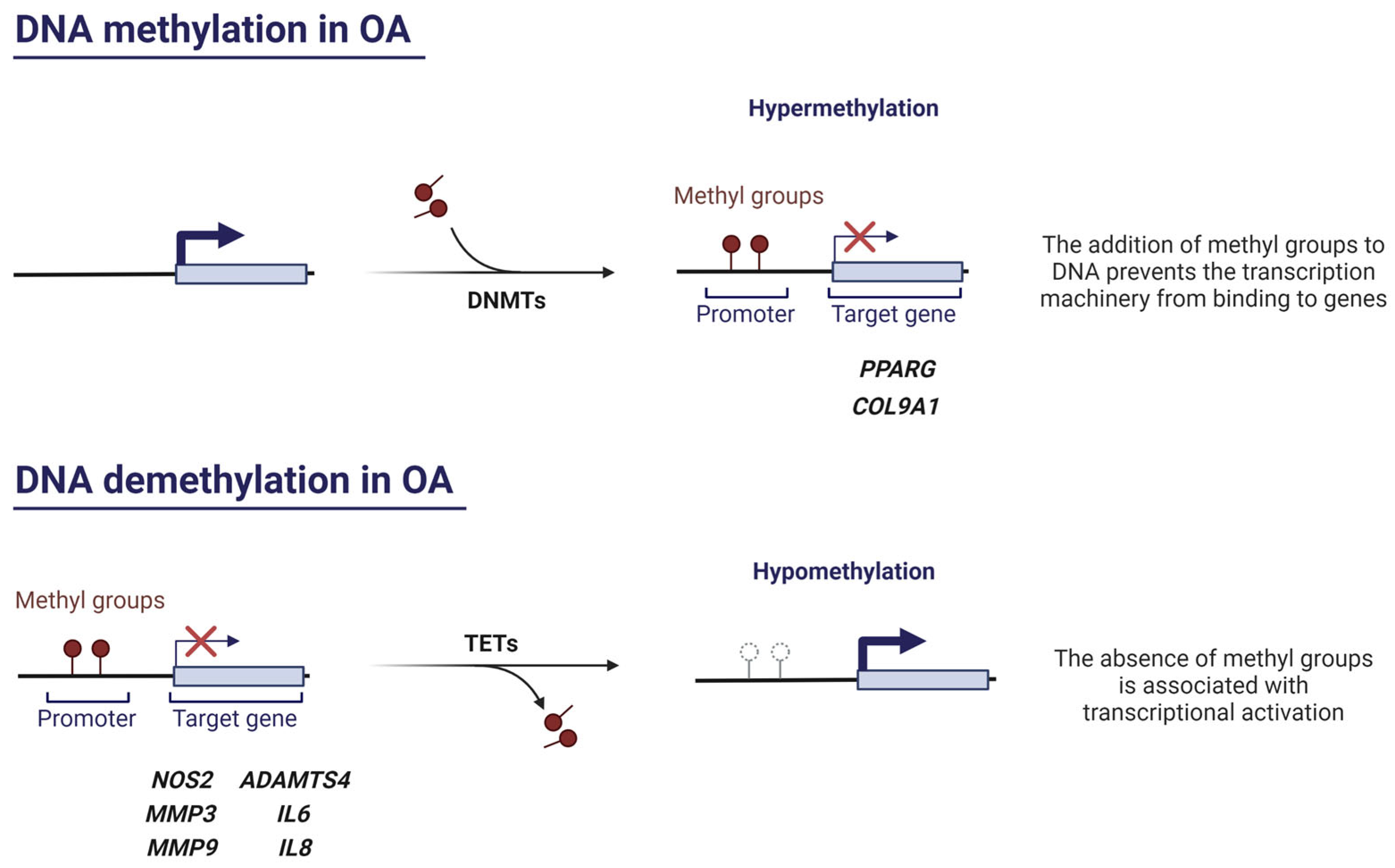 Pharmaceuticals 16 00156 g002 Pharmaceuticals 16 00156 g002