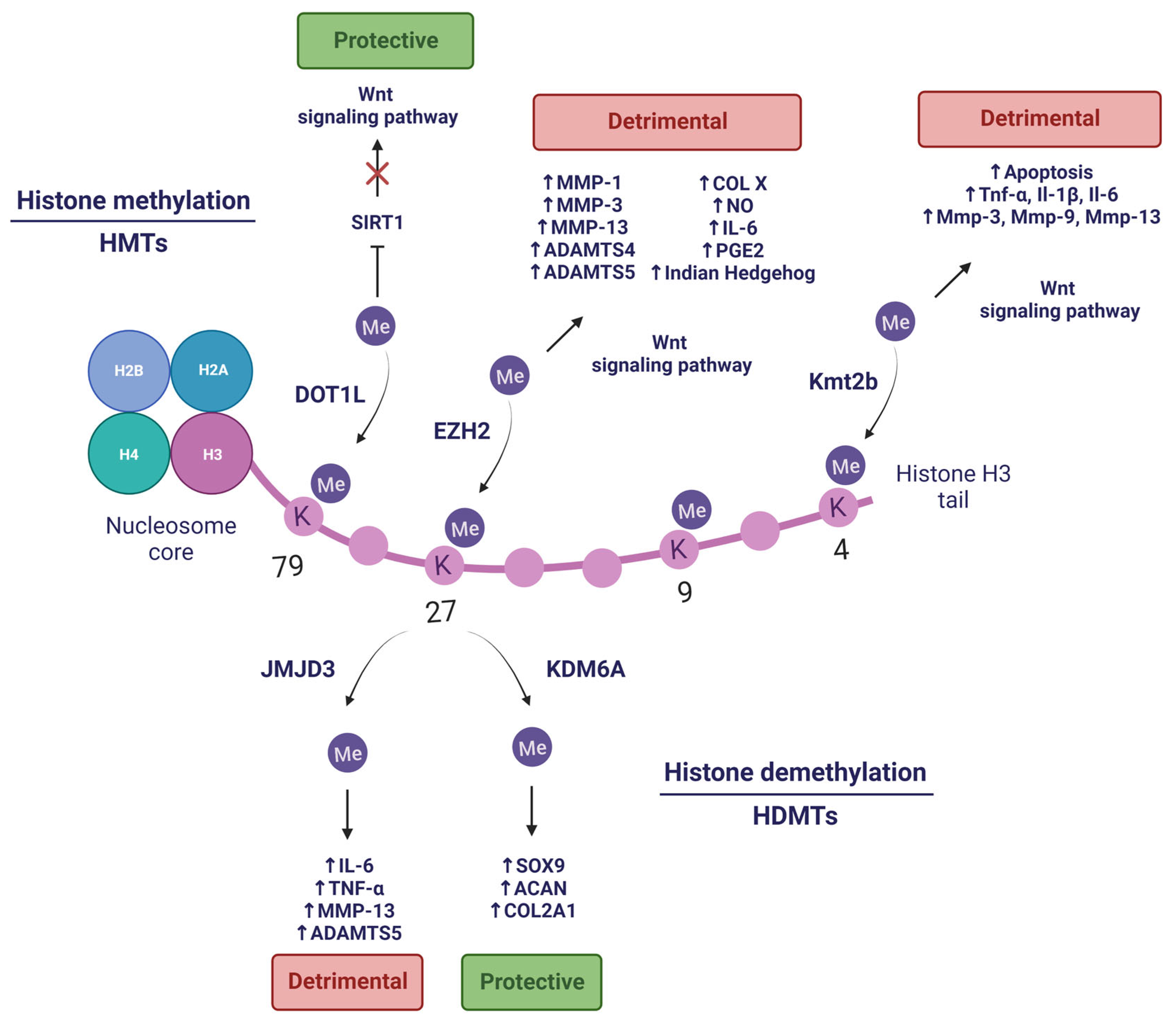 Pharmaceuticals 16 00156 g003 Pharmaceuticals 16 00156 g003