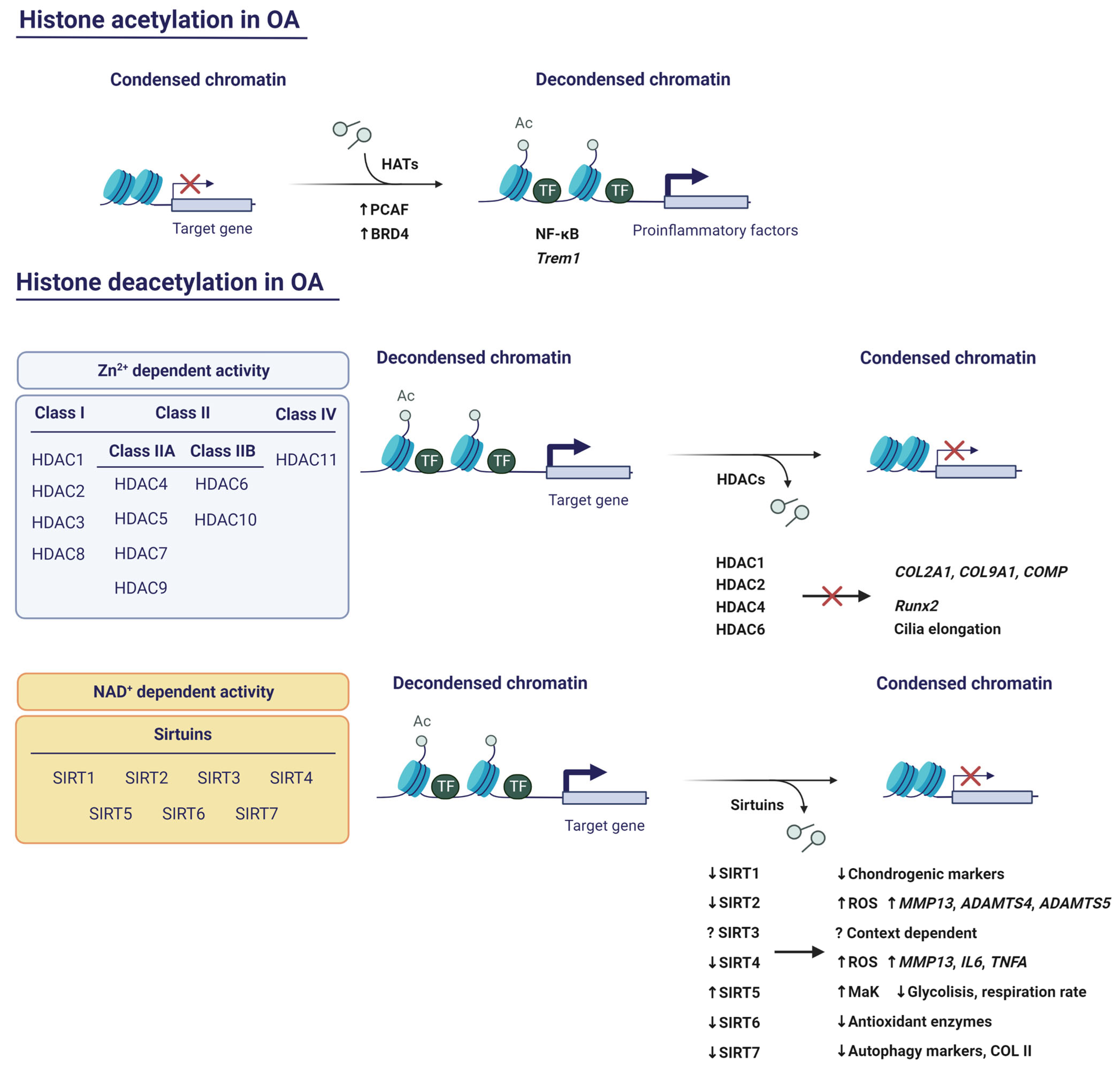 Pharmaceuticals 16 00156 g004 Pharmaceuticals 16 00156 g004