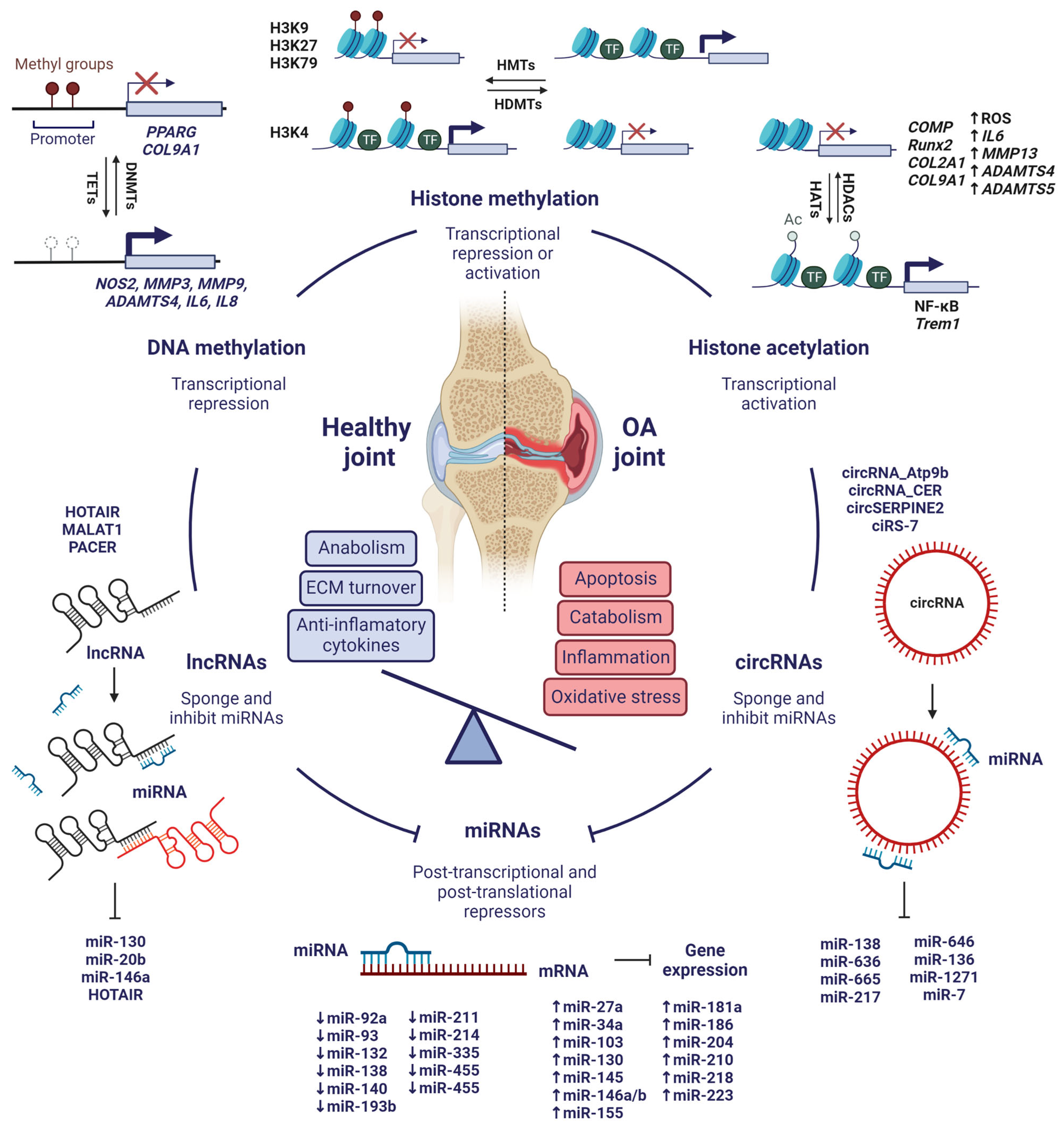 Pharmaceuticals 16 00156 g005 Pharmaceuticals 16 00156 g005