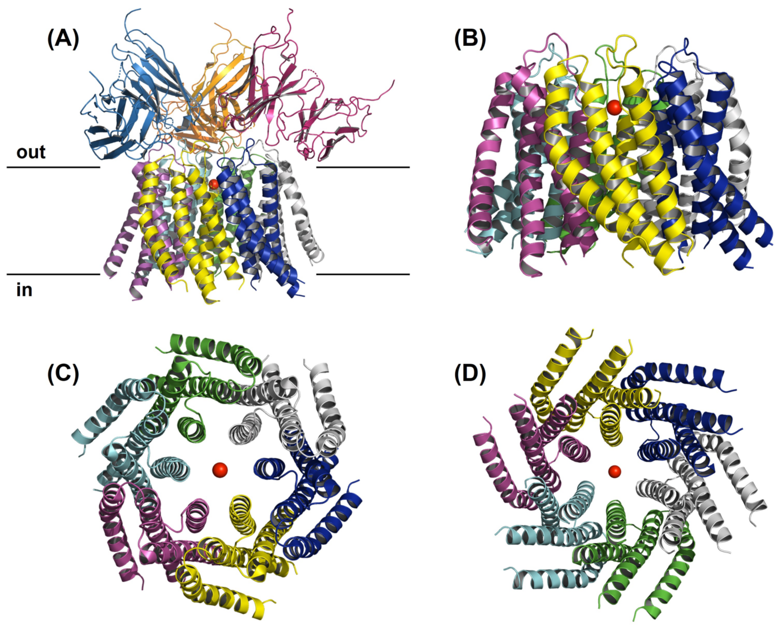 Pharmaceuticals 16 00162 g001 Pharmaceuticals 16 00162 g001