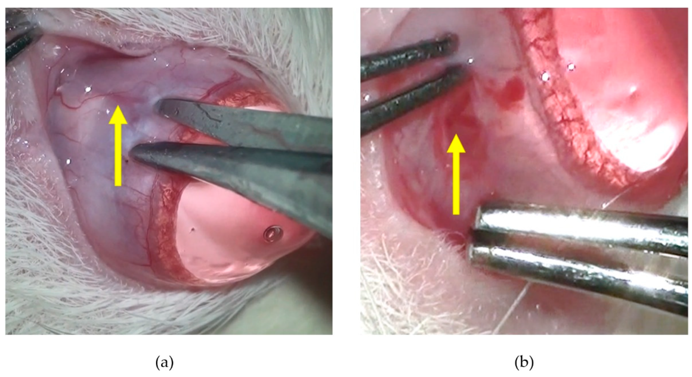 Pharmaceuticals 16 00164 g009