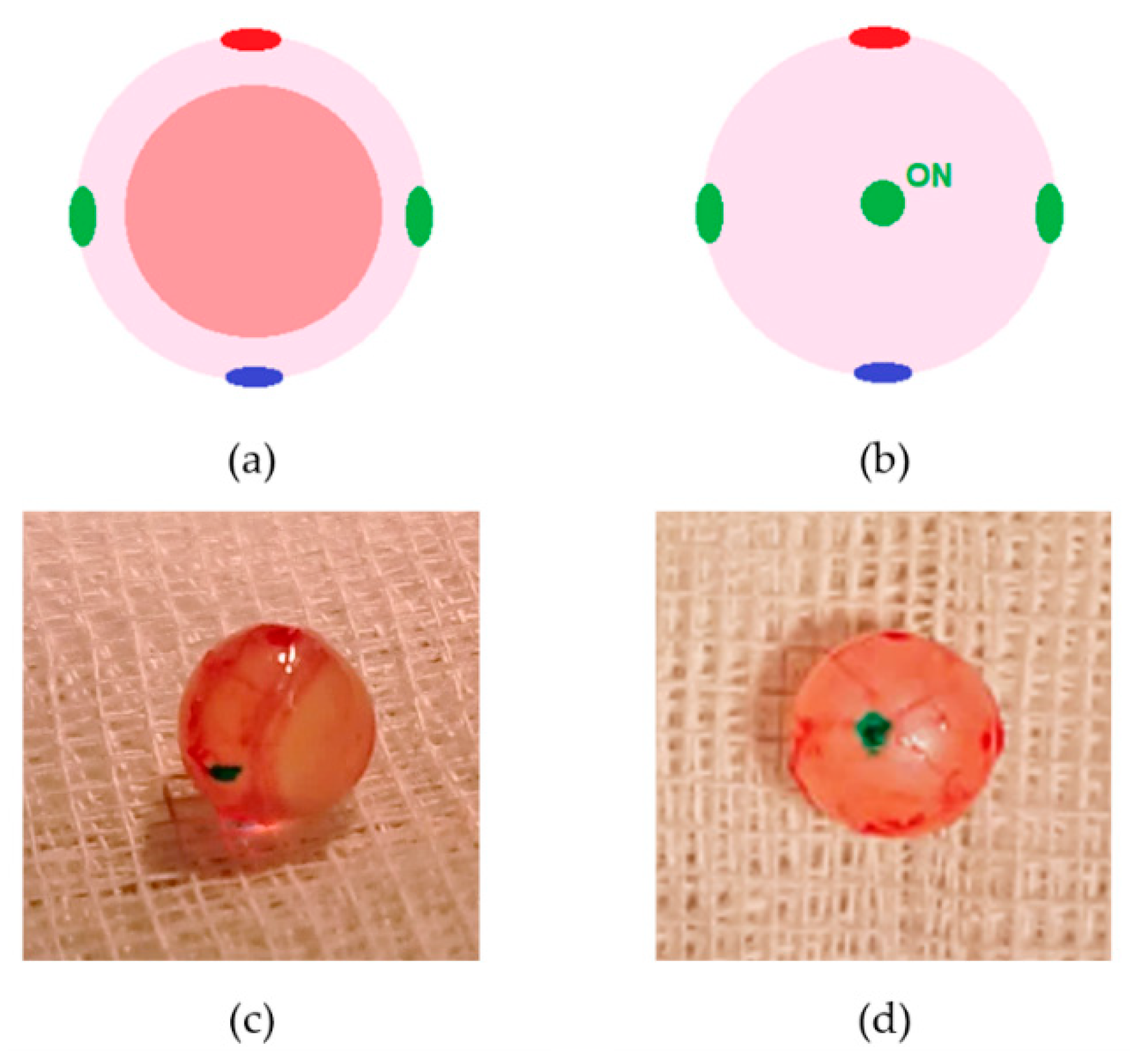 Pharmaceuticals 16 00164 g011