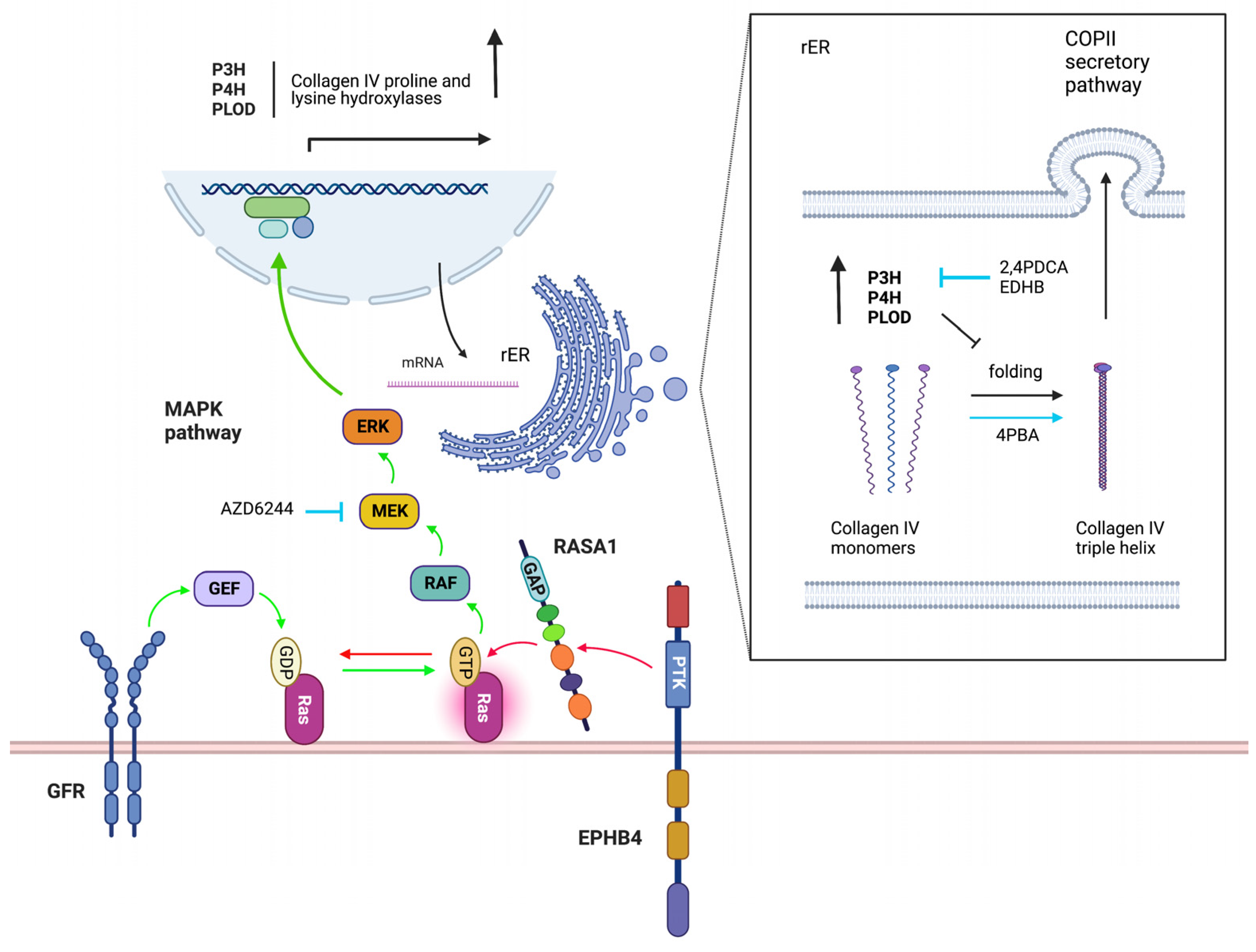 Pharmaceuticals 16 00165 g002