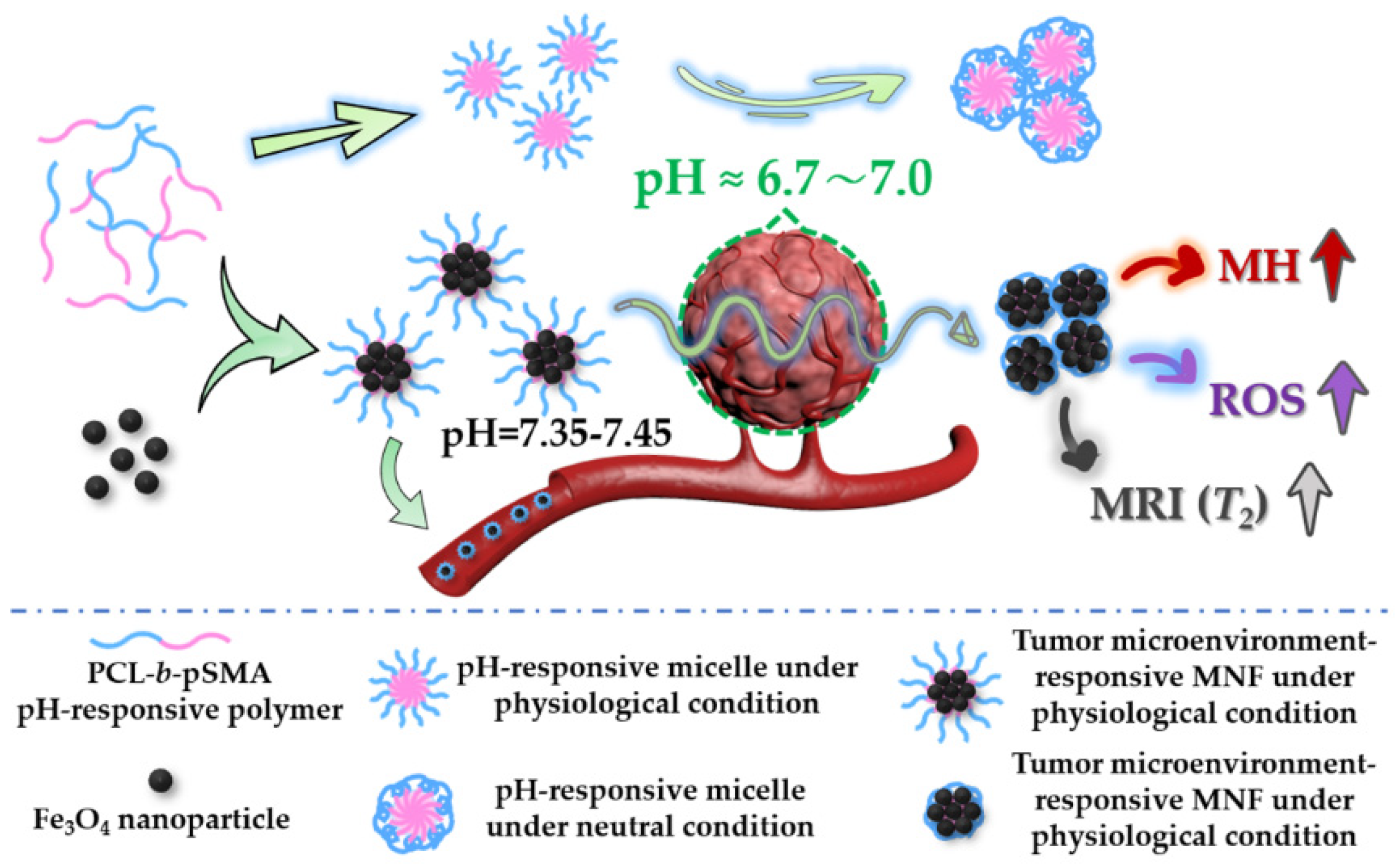Pharmaceuticals 16 00166 g001 Pharmaceuticals 16 00166 g001