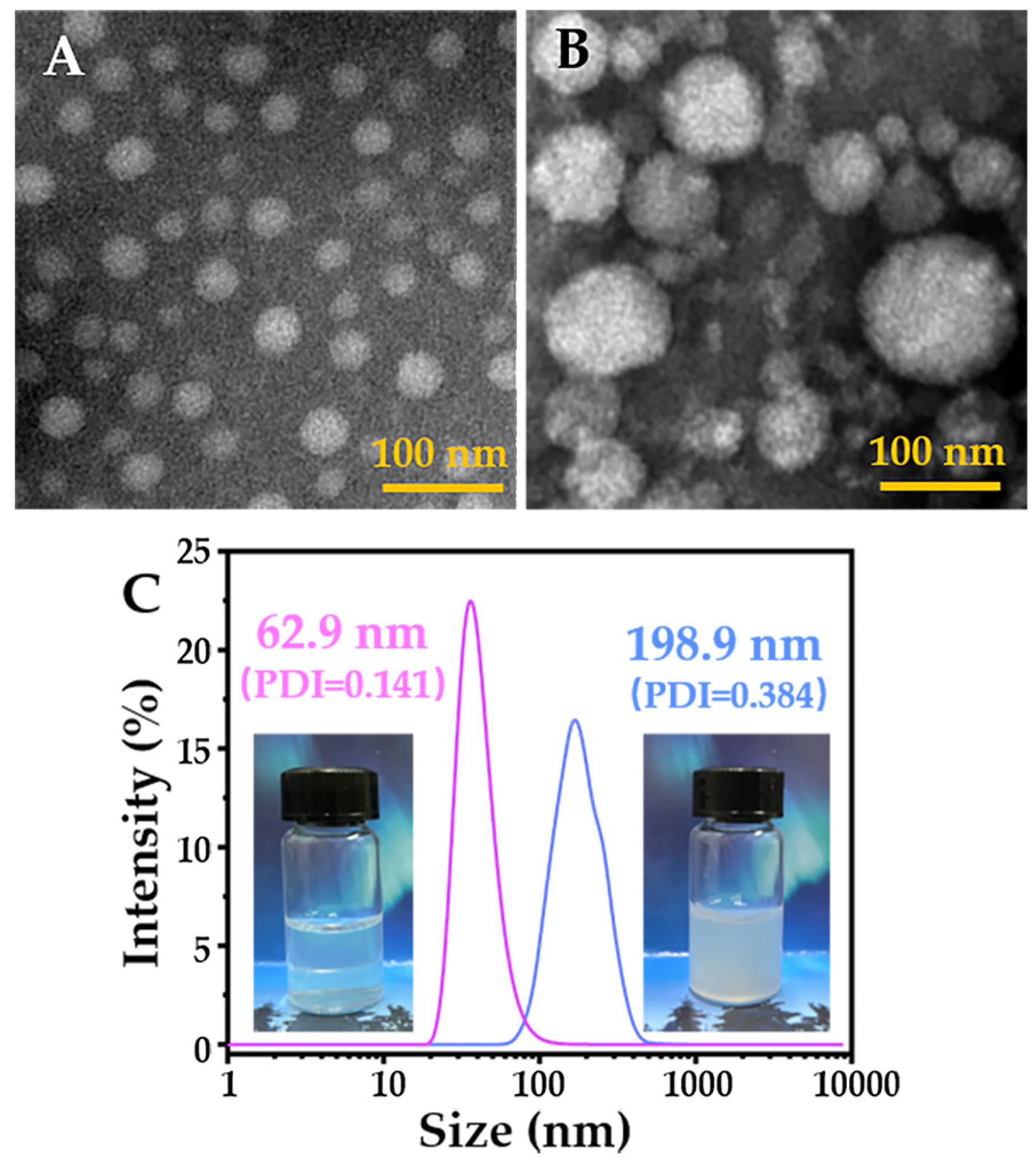 Pharmaceuticals 16 00166 g003 Pharmaceuticals 16 00166 g003