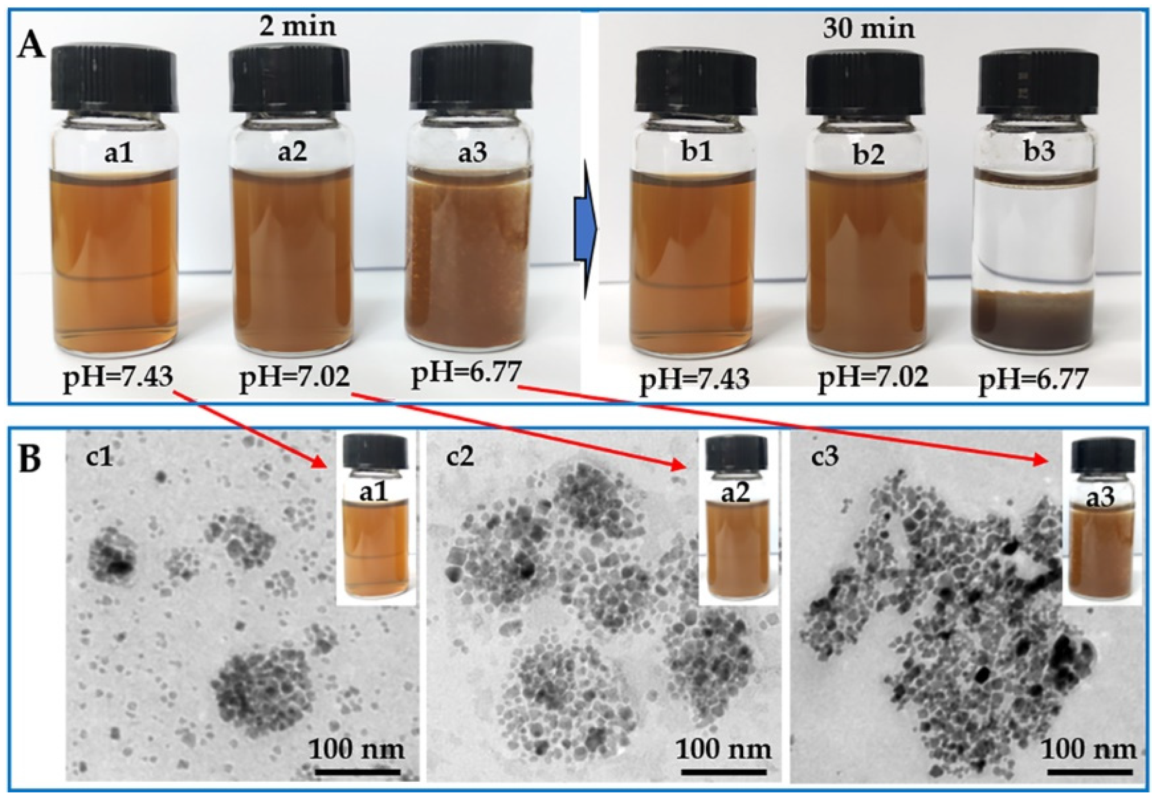 Pharmaceuticals 16 00166 g005 Pharmaceuticals 16 00166 g005