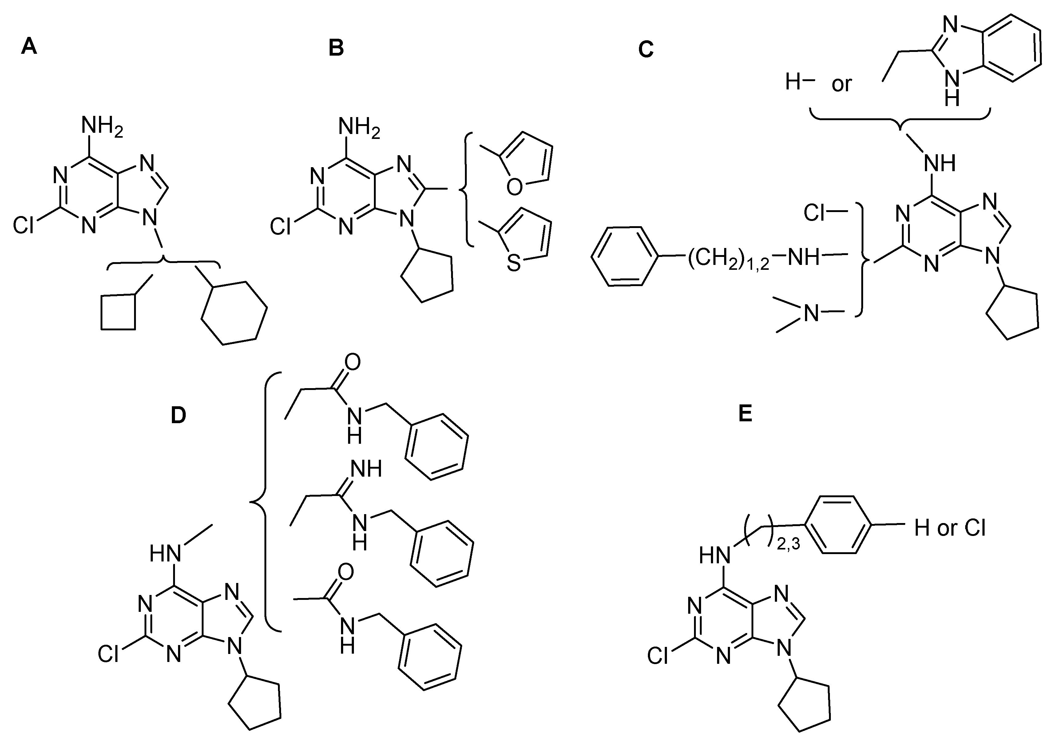Pharmaceuticals 16 00167 g003