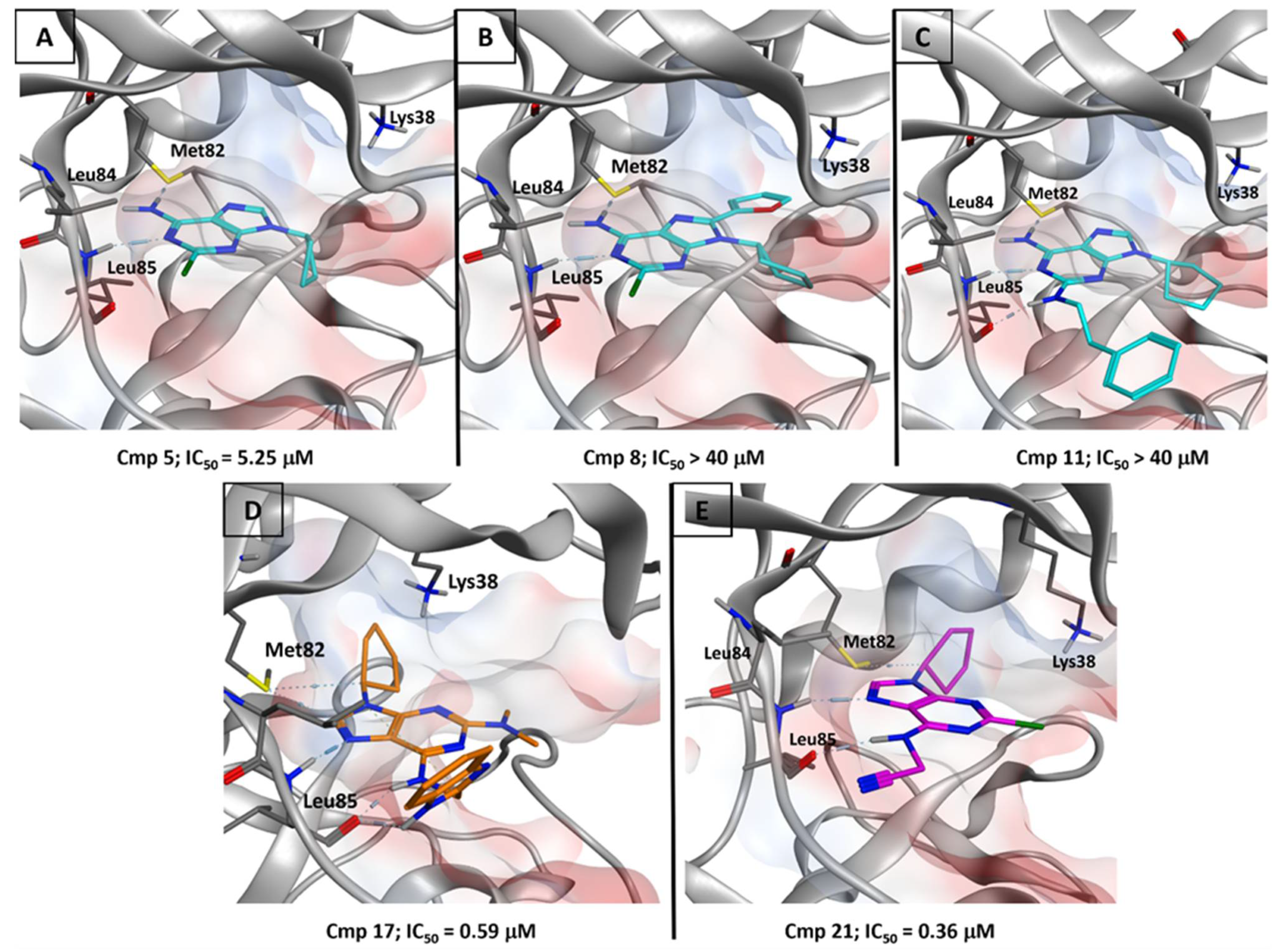 Pharmaceuticals 16 00167 g004
