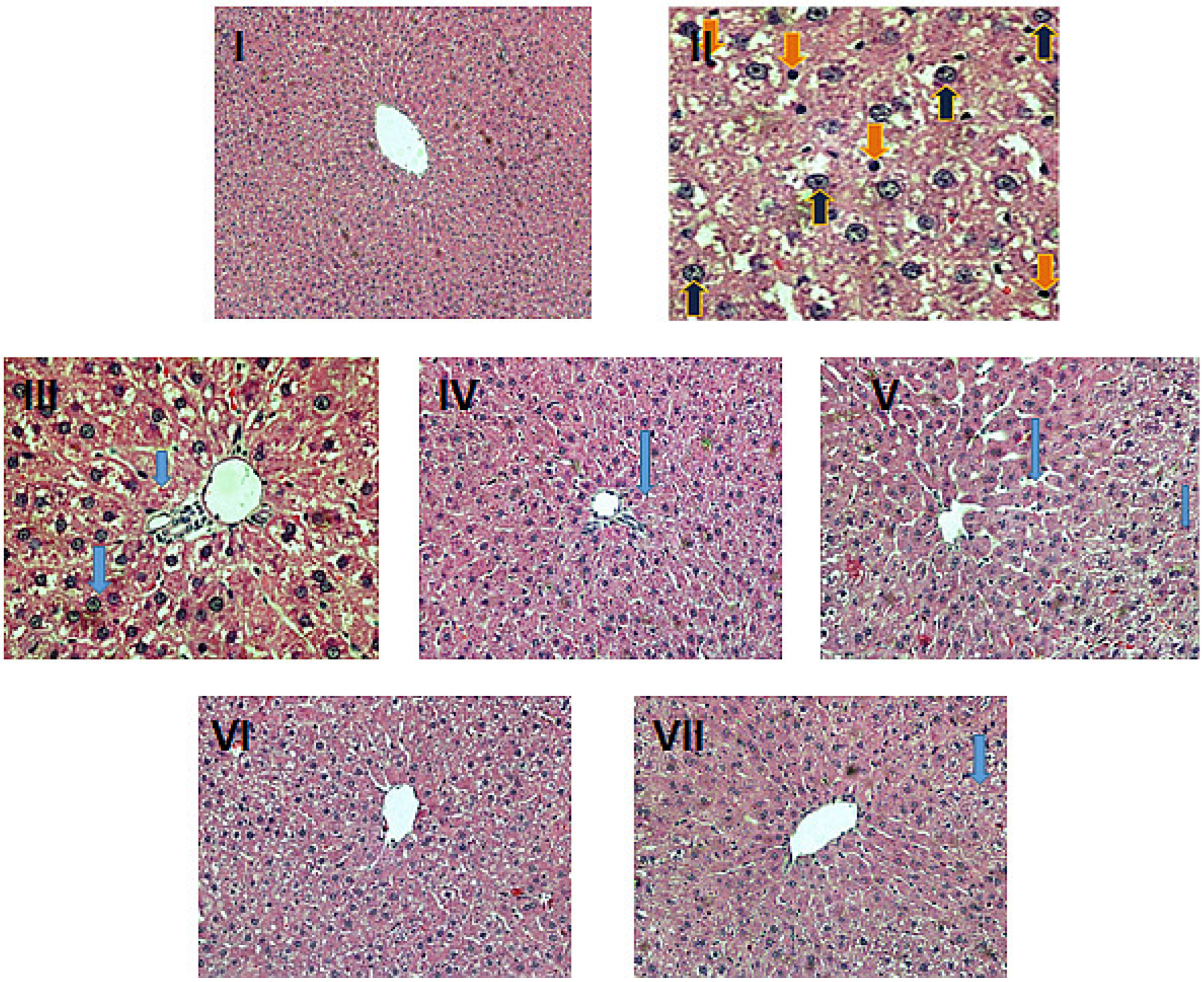 Pharmaceuticals 16 00169 g007 Pharmaceuticals 16 00169 g007