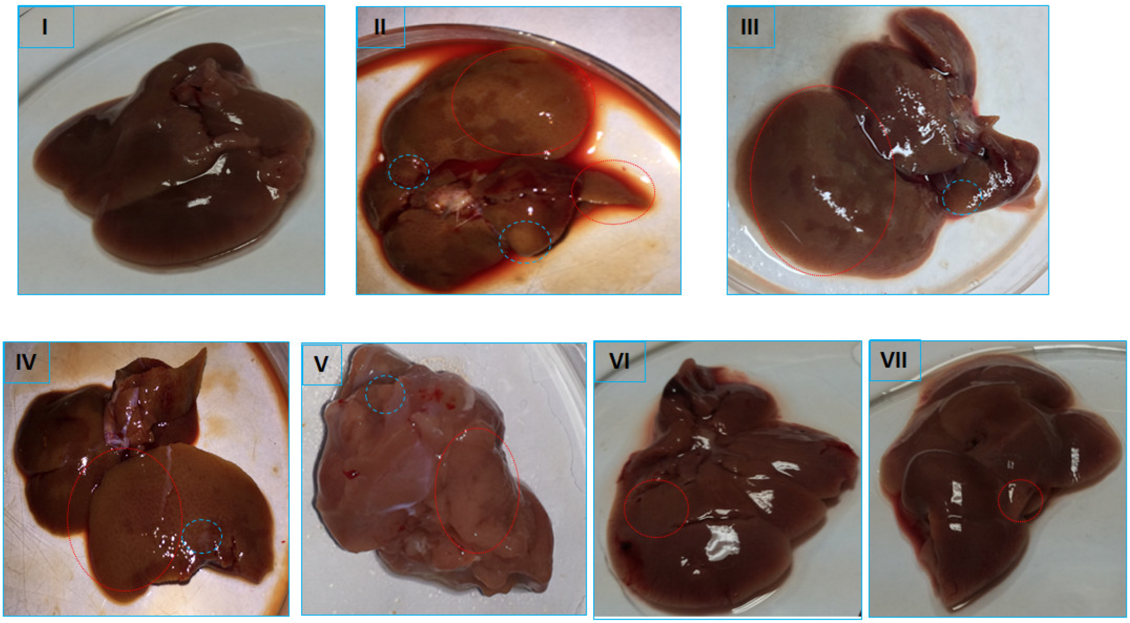 Pharmaceuticals 16 00169 g008 Pharmaceuticals 16 00169 g008