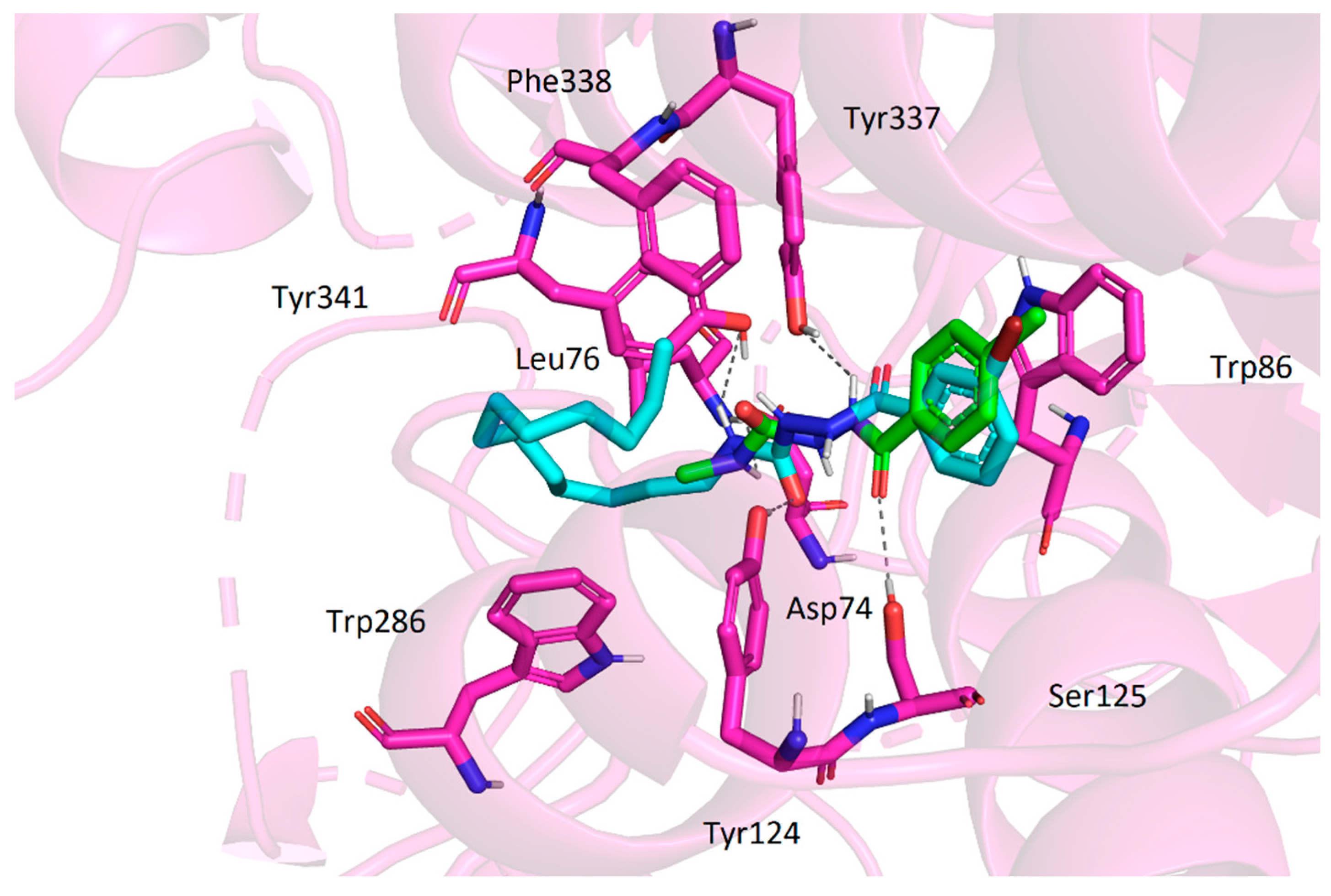 Pharmaceuticals 16 00172 g002