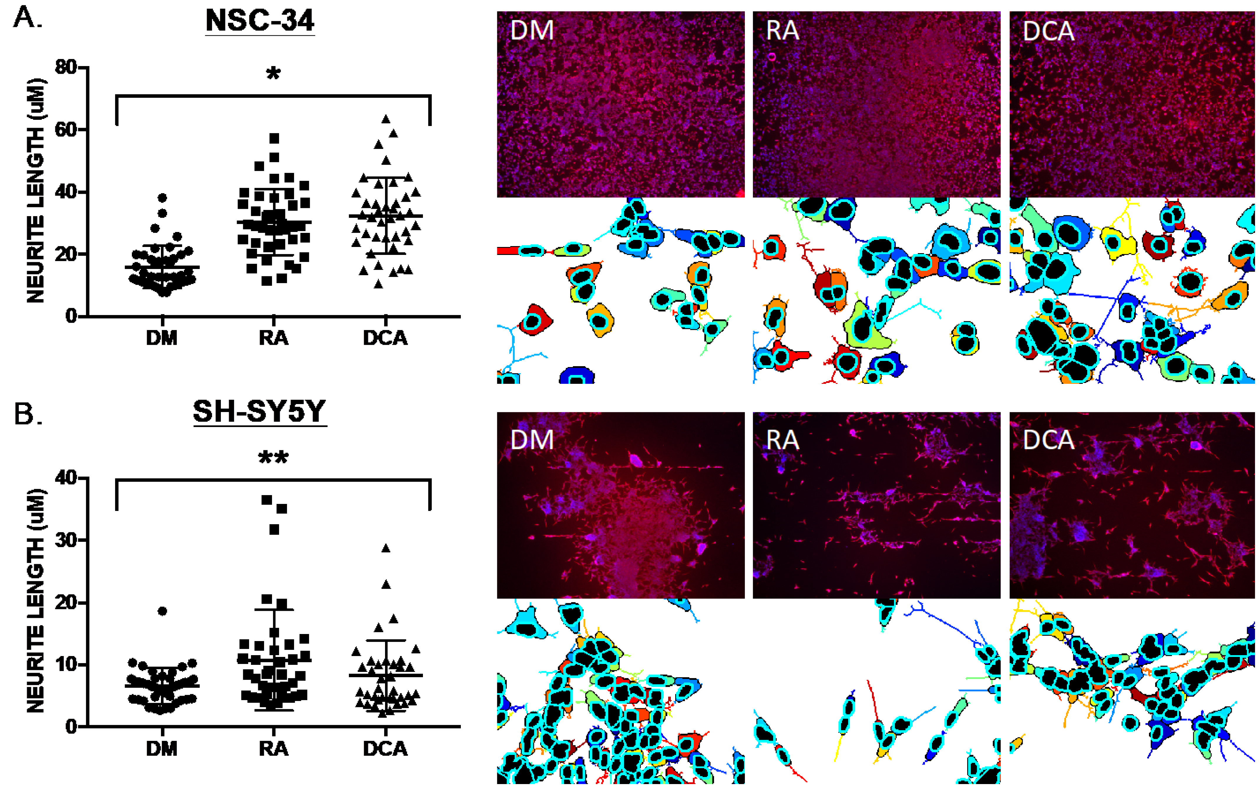 Pharmaceuticals 16 00174 g001