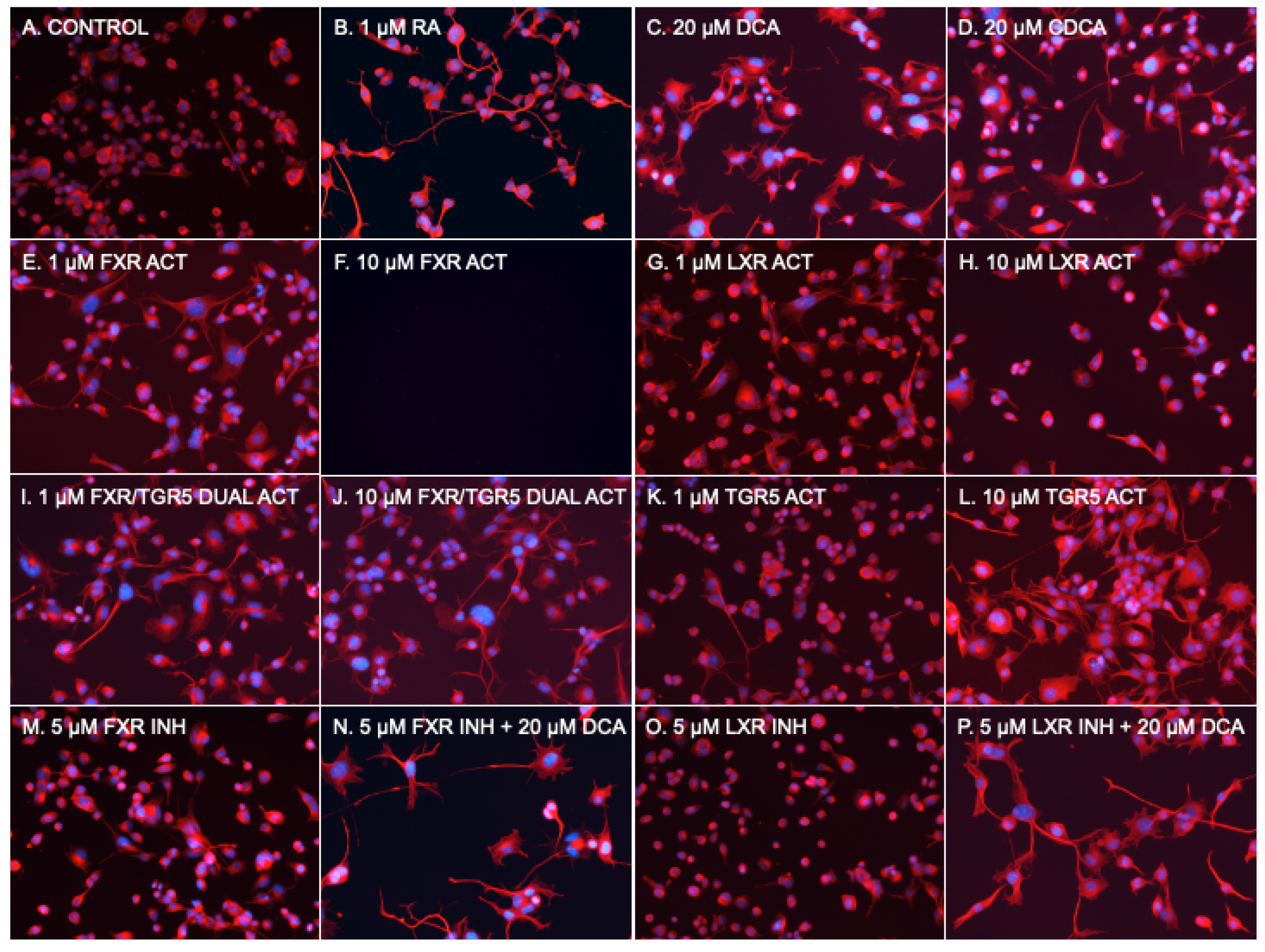 Pharmaceuticals 16 00174 g002