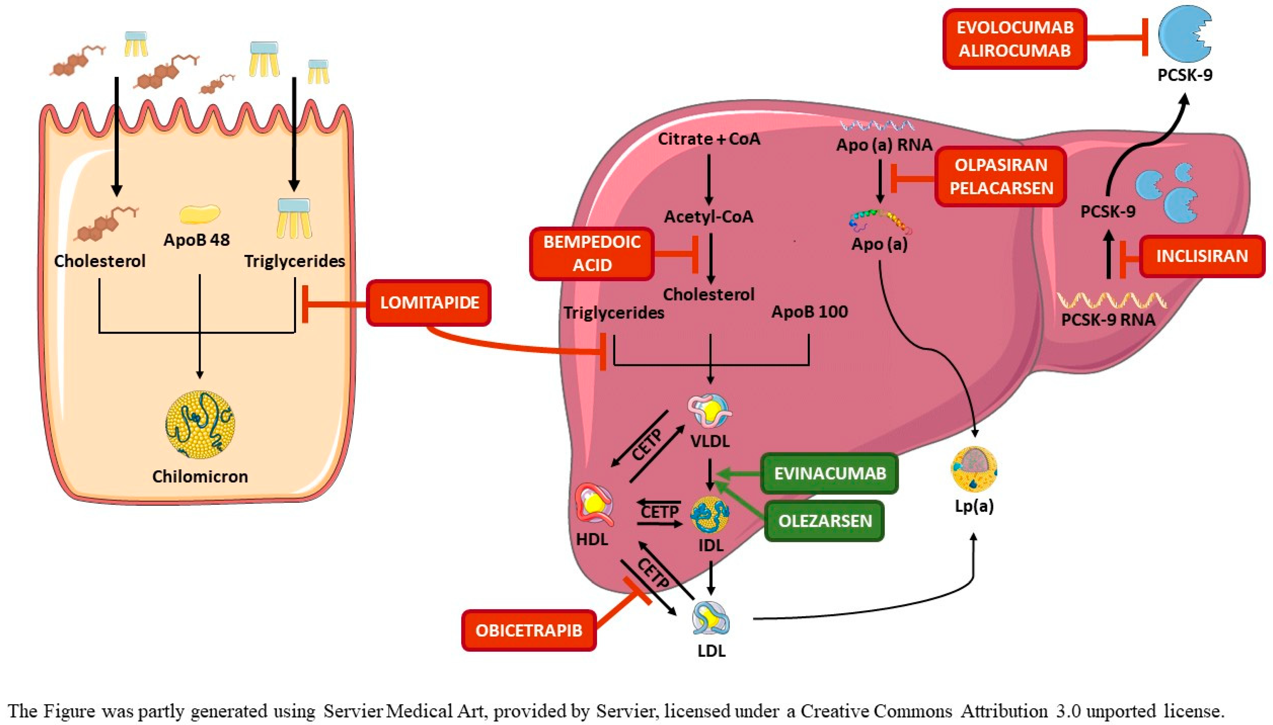 Pharmaceuticals 16 00176 g001 Pharmaceuticals 16 00176 g001