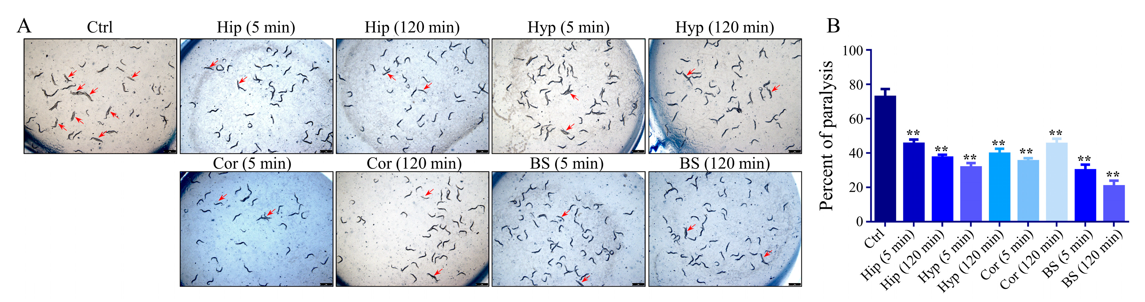 Pharmaceuticals 16 00178 g006