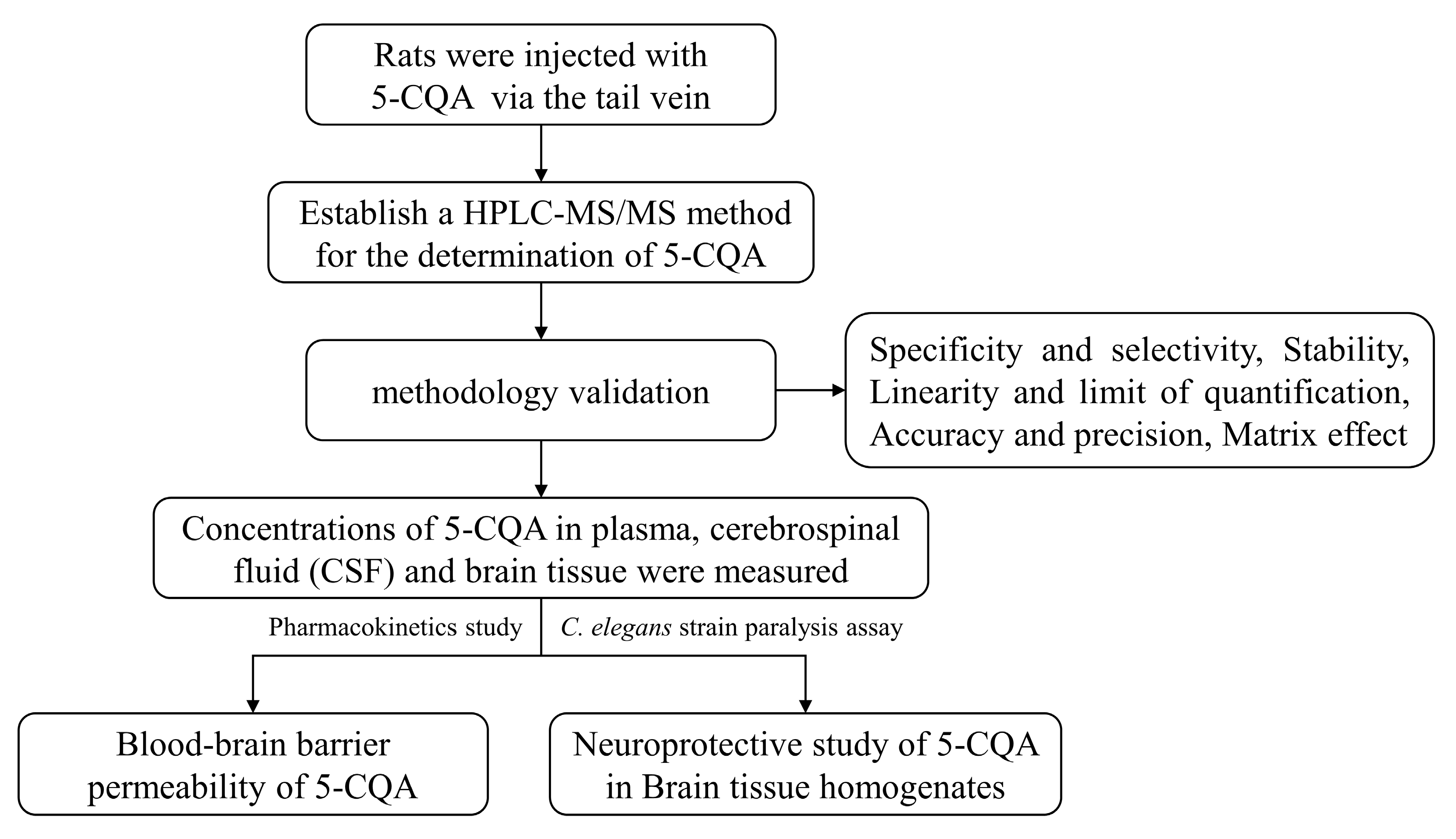 Pharmaceuticals 16 00178 g007
