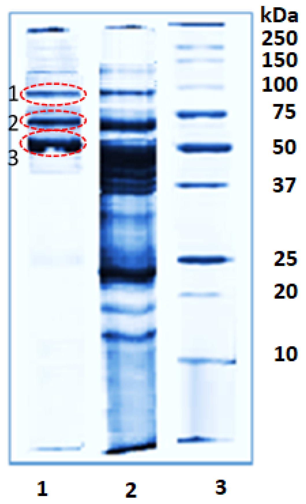 Pharmaceuticals 16 00181 g001