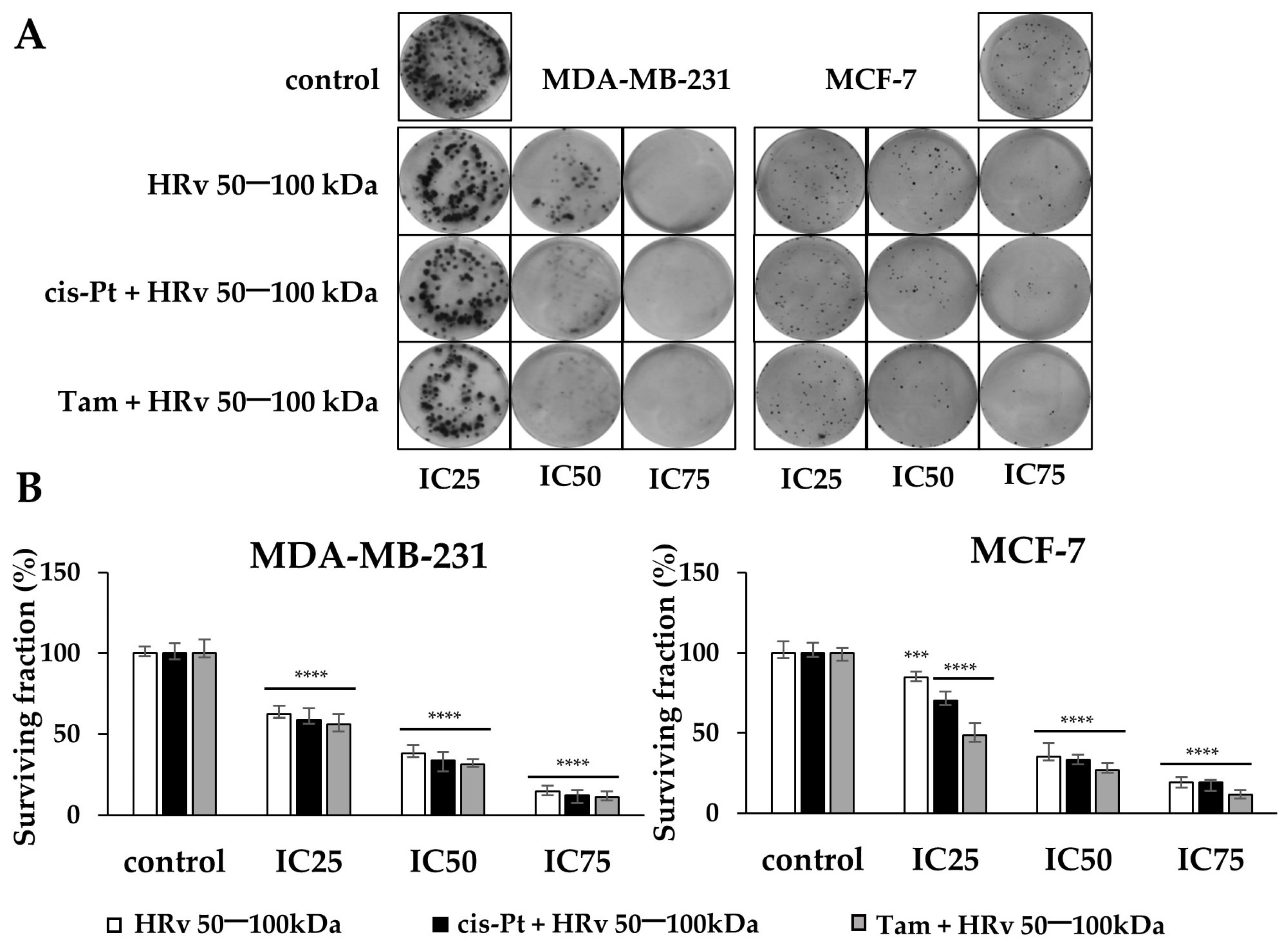 Pharmaceuticals 16 00181 g007
