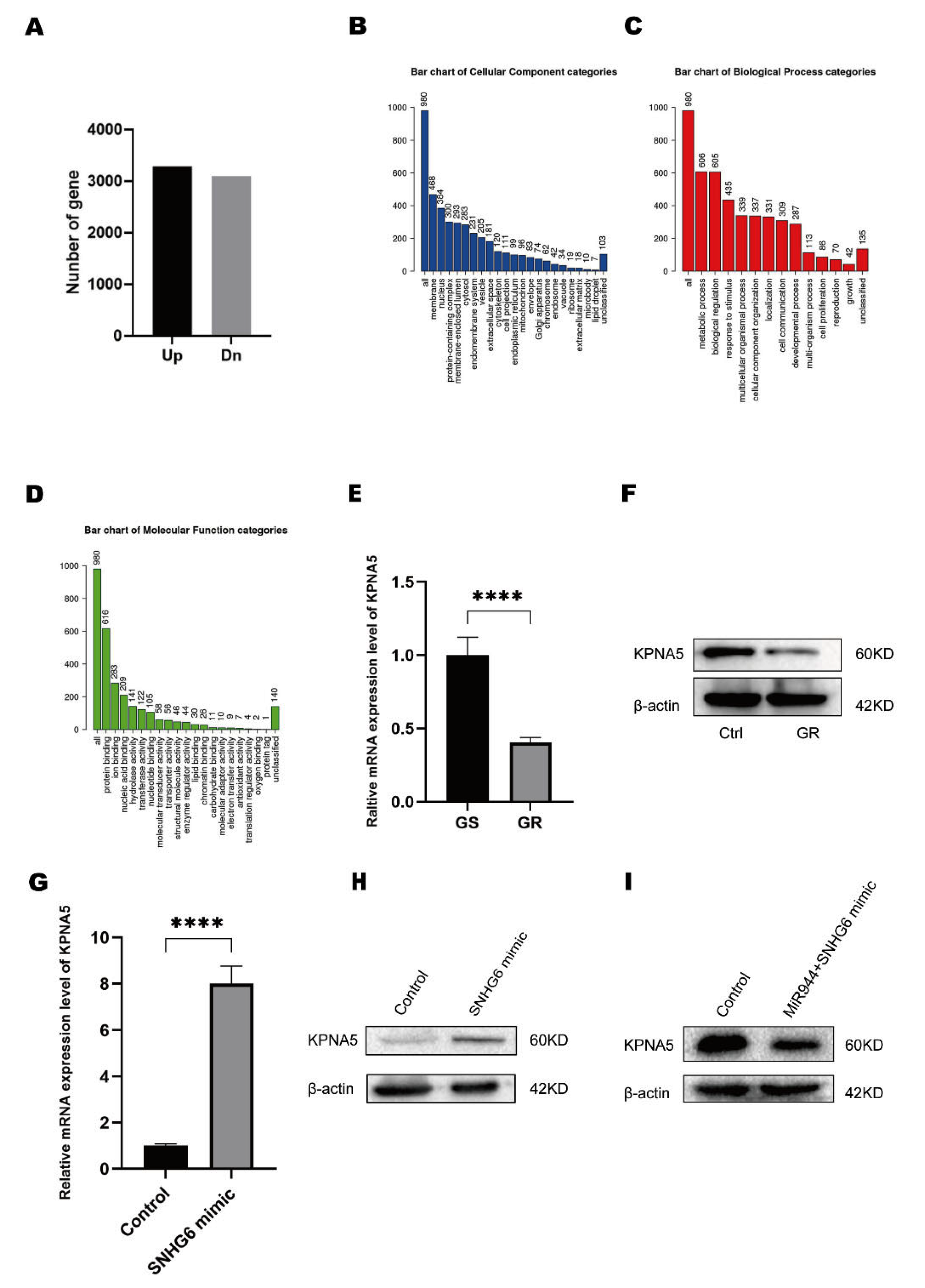 Pharmaceuticals 16 00184 g004