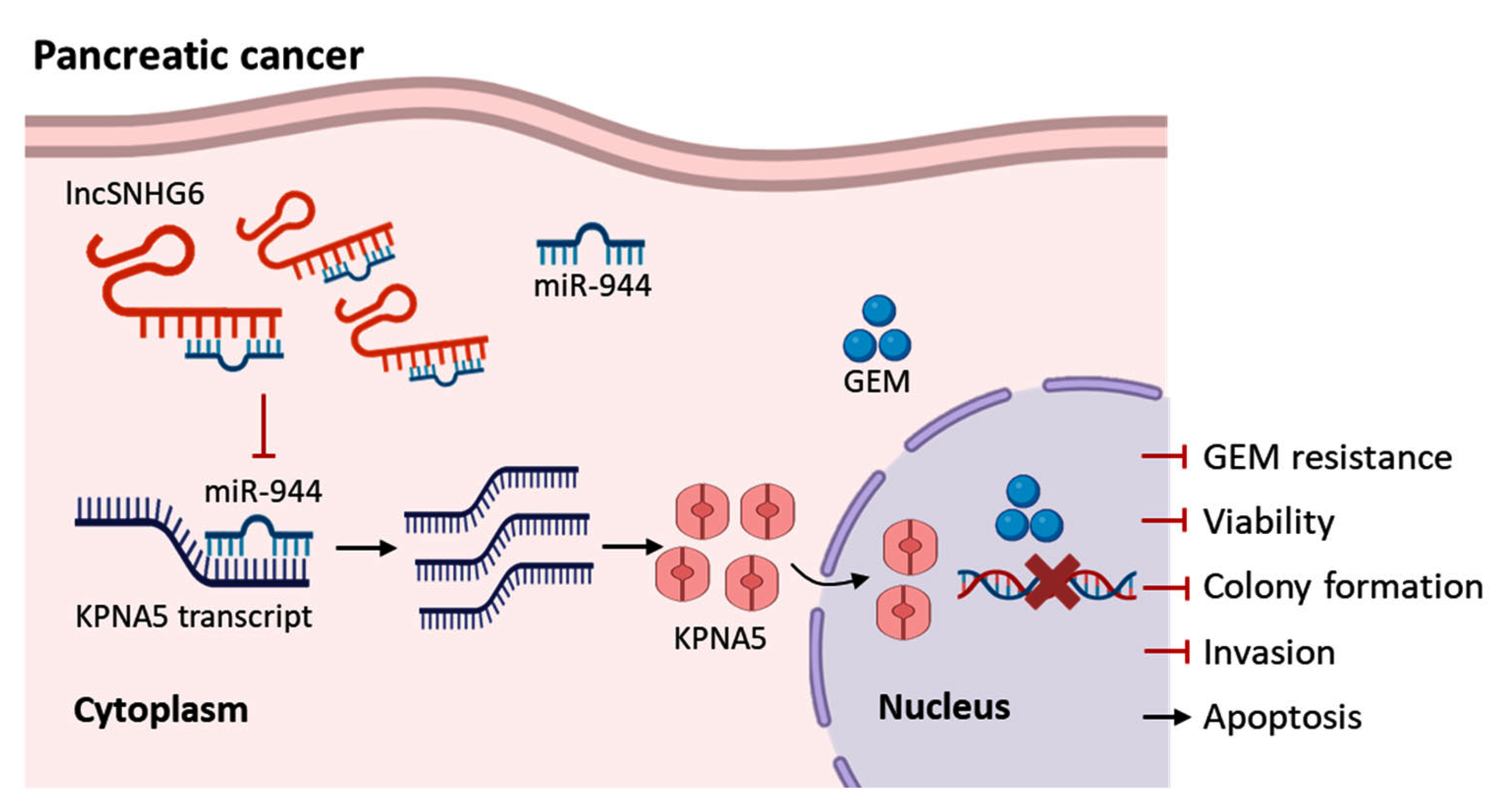 Pharmaceuticals 16 00184 g006