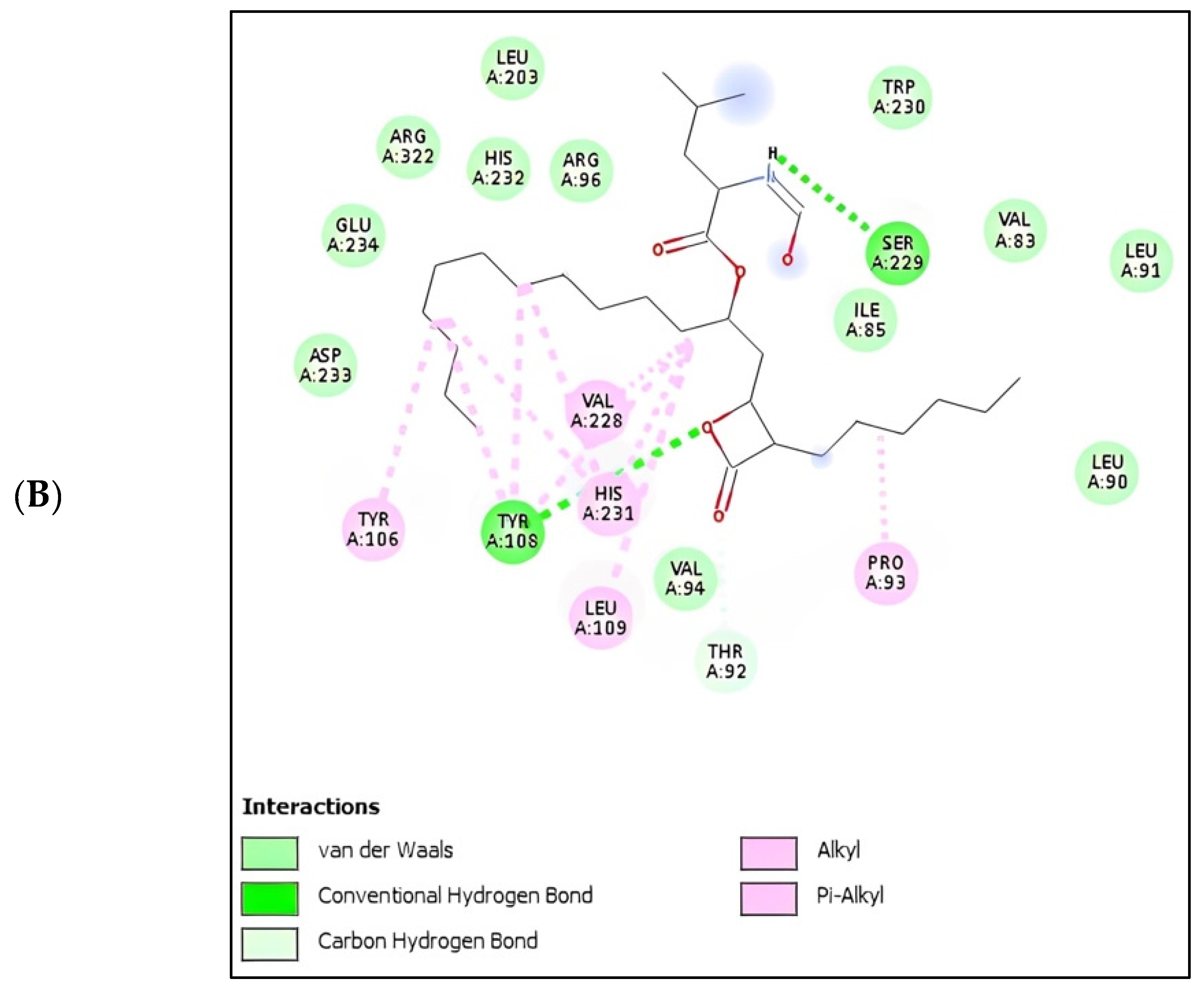 Pharmaceuticals 16 00191 g009b Pharmaceuticals 16 00191 g009b
